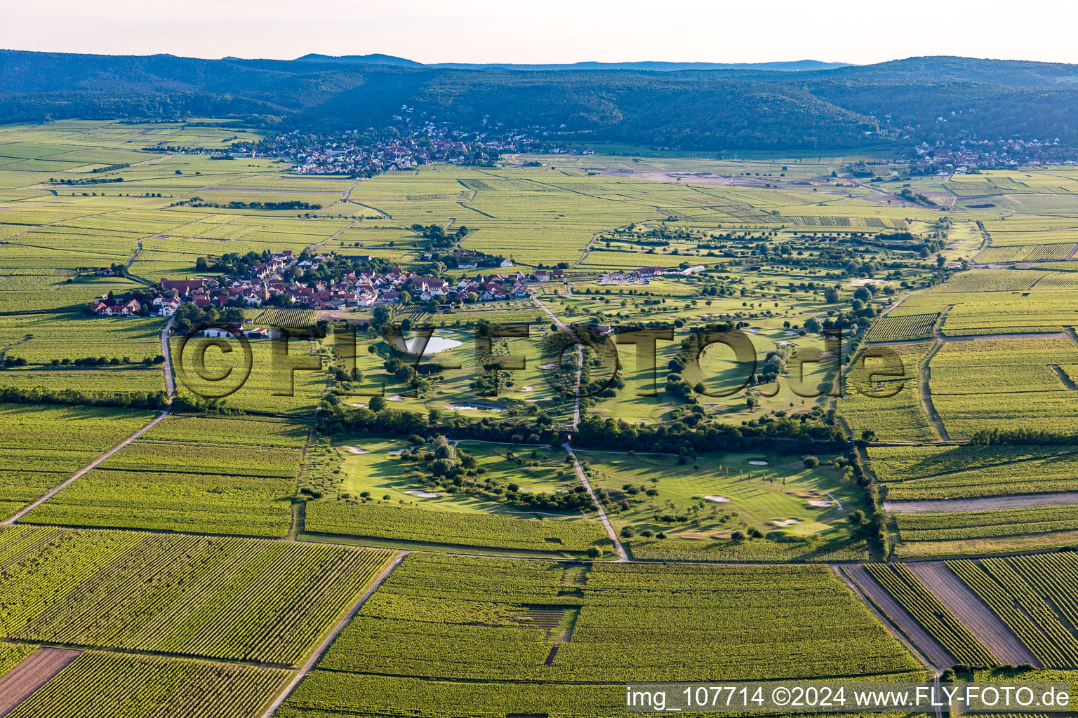 Vue oblique de Terrain de golf à Dackenheim dans le département Rhénanie-Palatinat, Allemagne