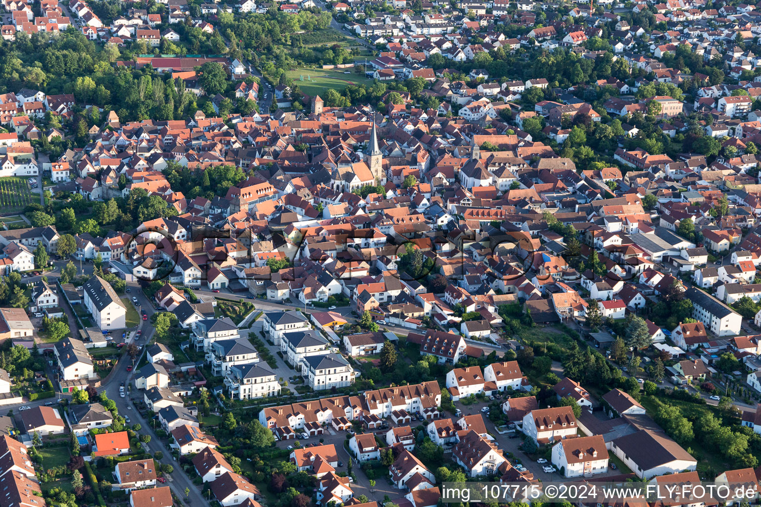 Vue d'oiseau de Freinsheim dans le département Rhénanie-Palatinat, Allemagne