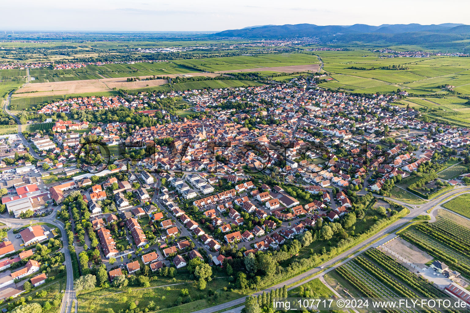 Freinsheim dans le département Rhénanie-Palatinat, Allemagne vue du ciel