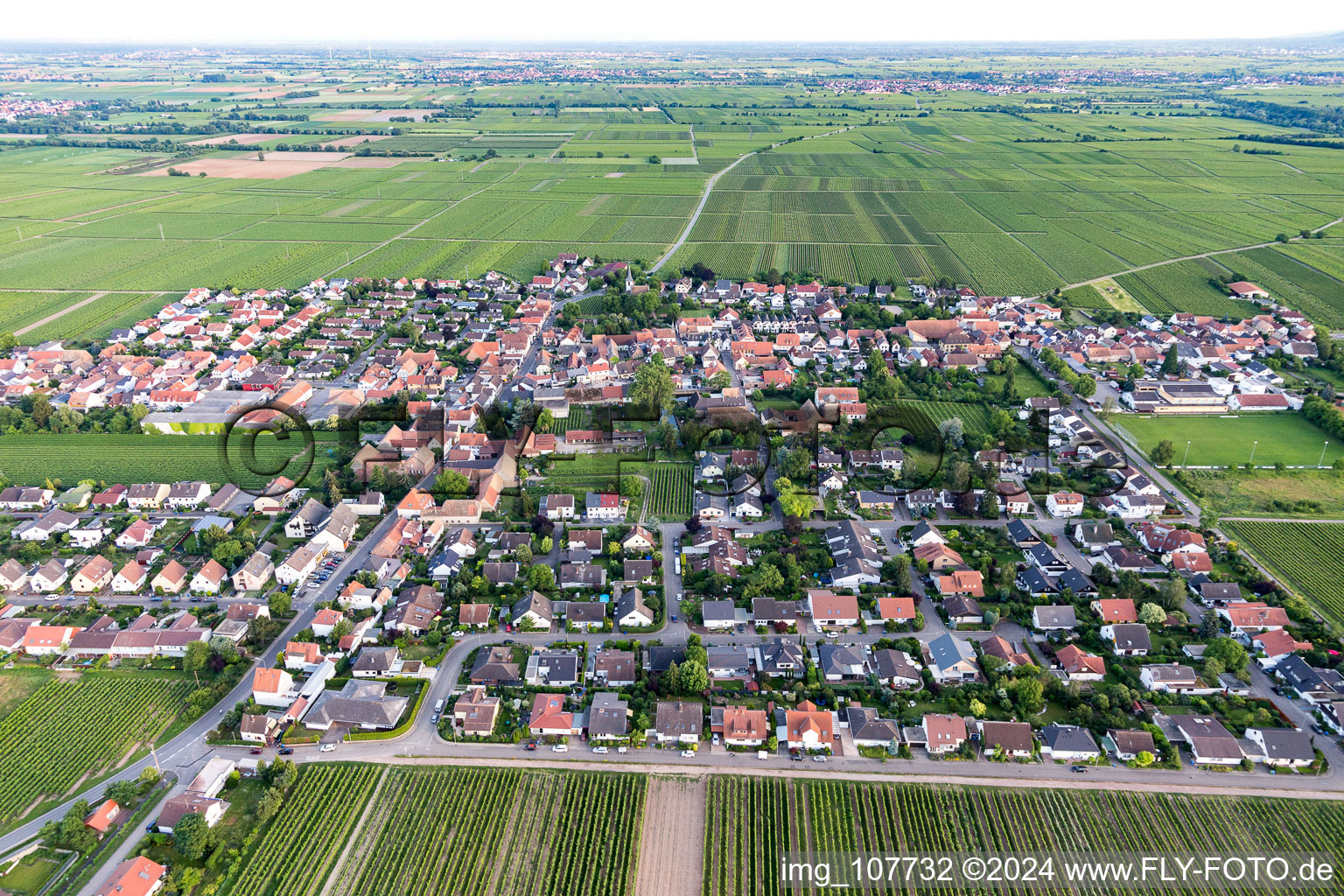 Vue aérienne de Friedelsheim dans le département Rhénanie-Palatinat, Allemagne