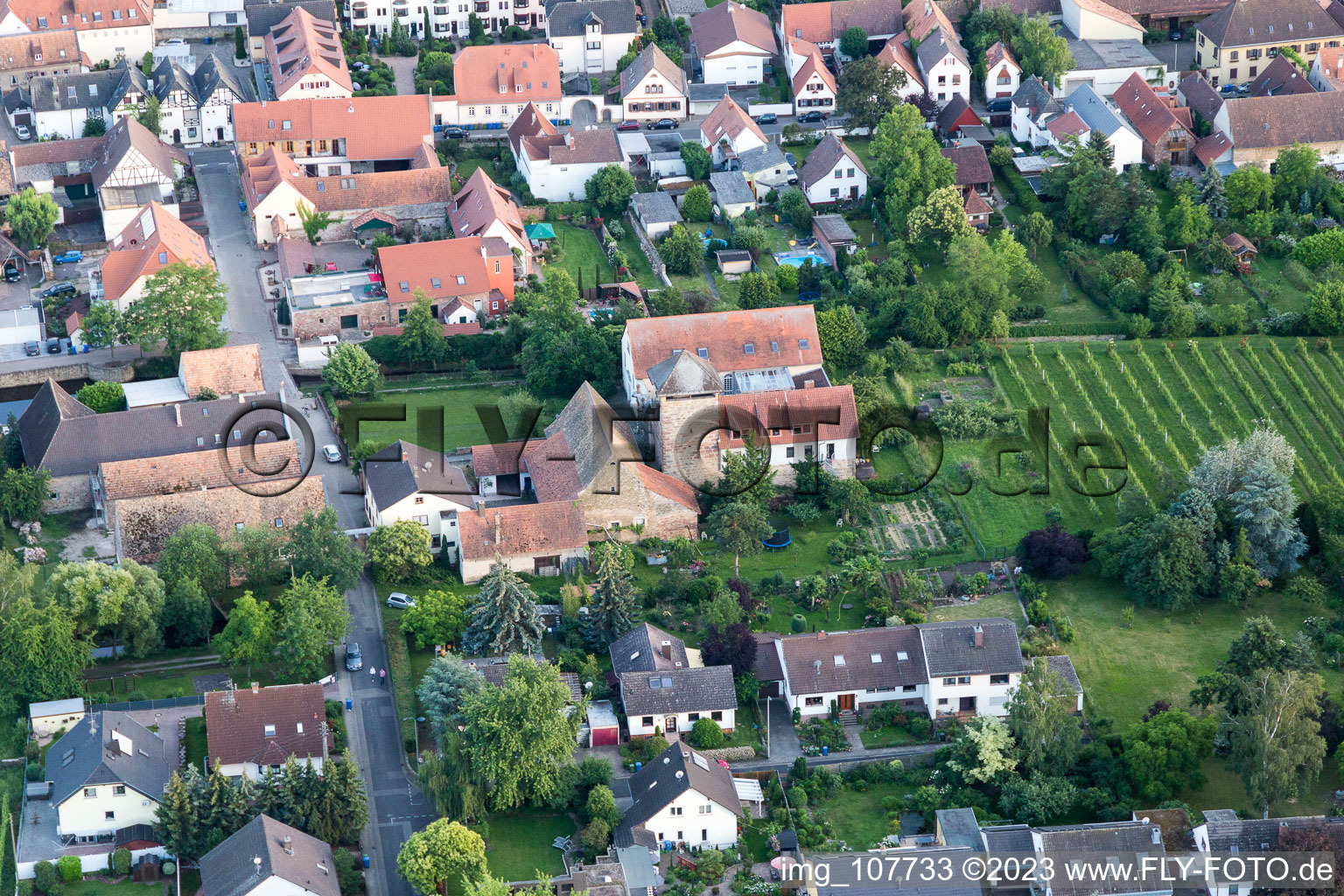 Photographie aérienne de Friedelsheim dans le département Rhénanie-Palatinat, Allemagne