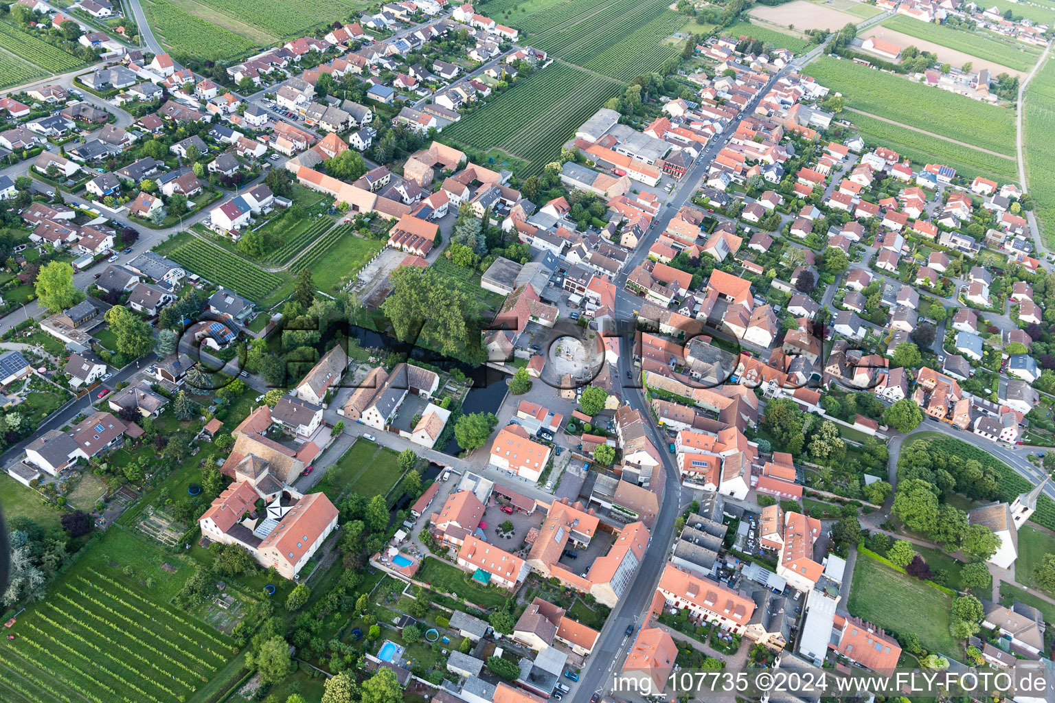 Friedelsheim dans le département Rhénanie-Palatinat, Allemagne d'en haut