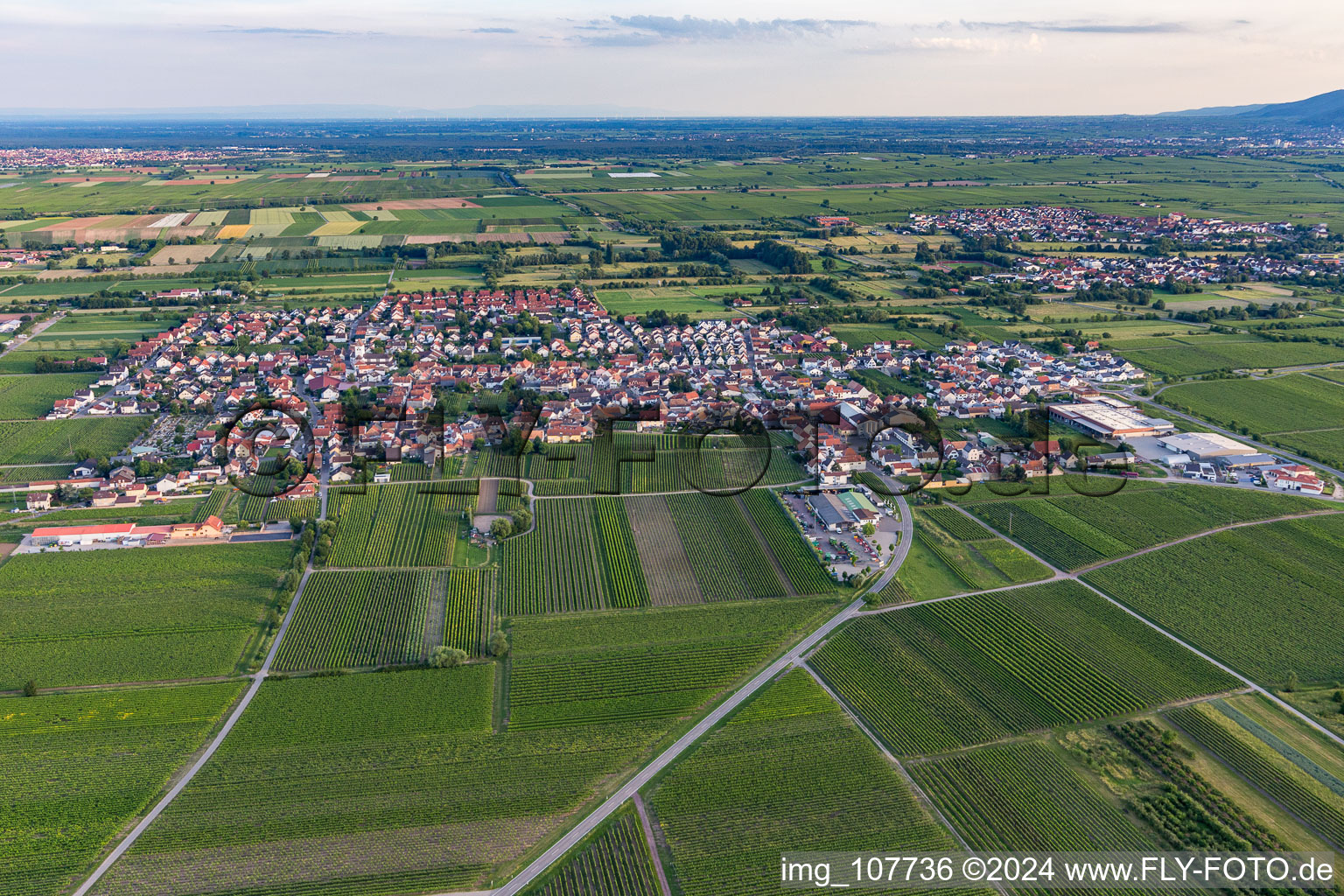 Photographie aérienne de Niederkirchen bei Deidesheim dans le département Rhénanie-Palatinat, Allemagne