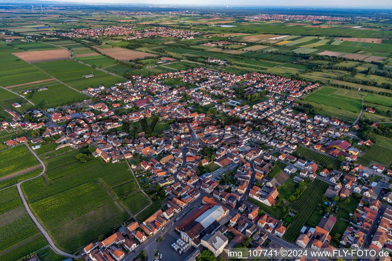 Vue aérienne de Vue sur la commune en bordure de champs agricoles et de zones agricoles à le quartier Niederkirchen in Niederkirchen bei Deidesheim dans le département Rhénanie-Palatinat, Allemagne