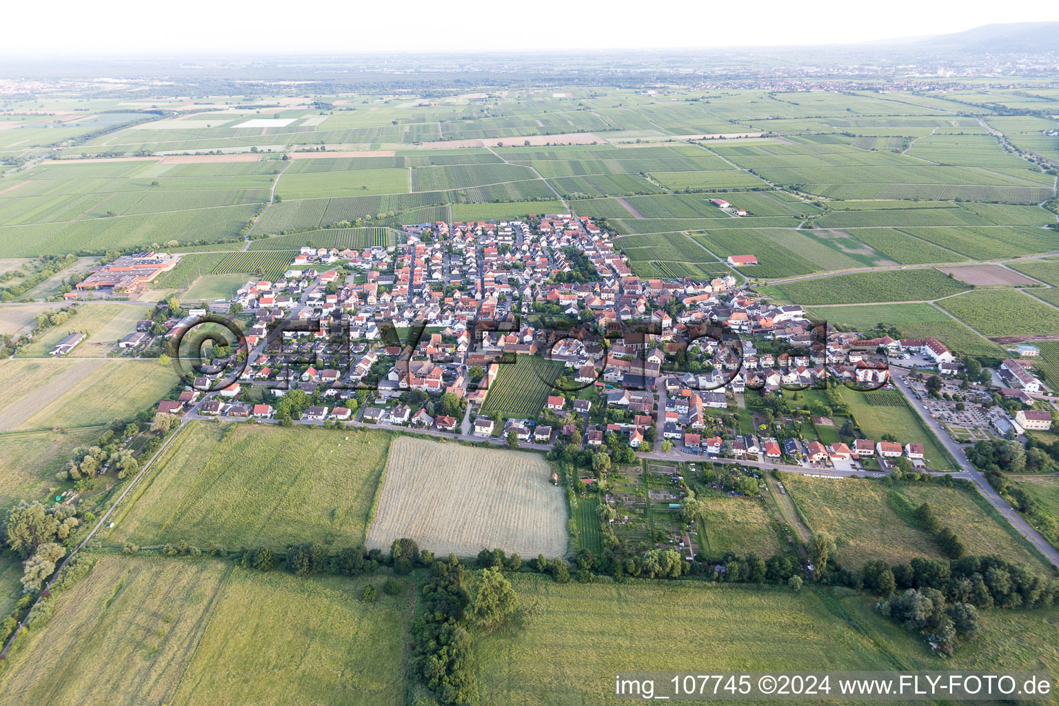 Vue d'oiseau de Ruppertsberg dans le département Rhénanie-Palatinat, Allemagne