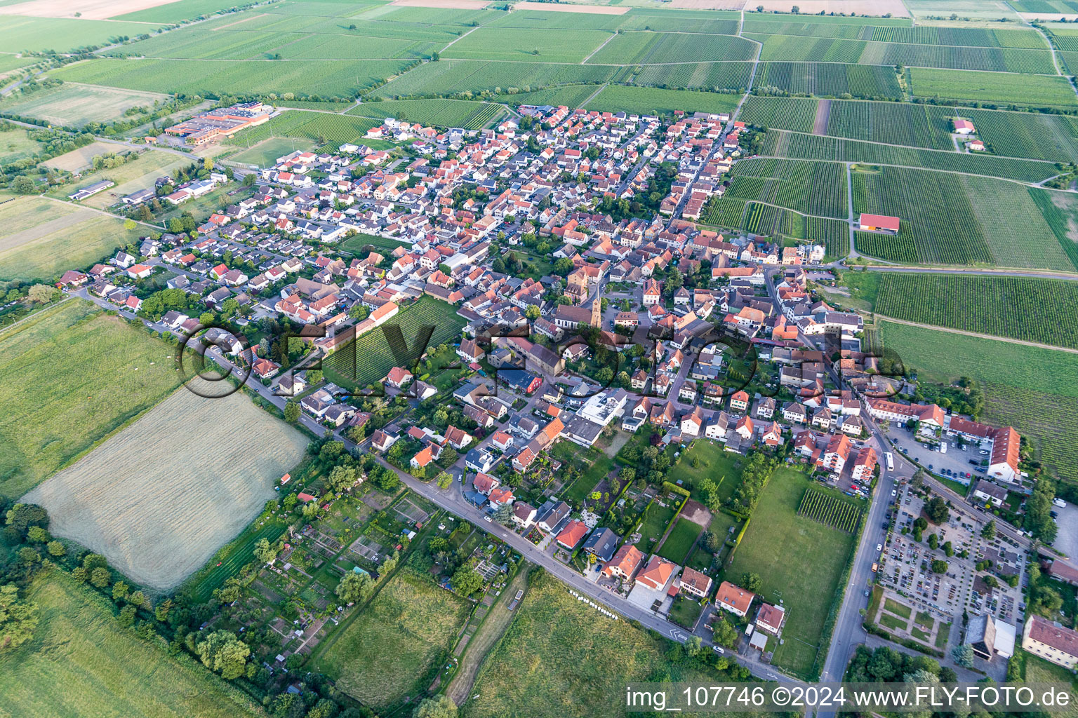 Ruppertsberg dans le département Rhénanie-Palatinat, Allemagne vue du ciel