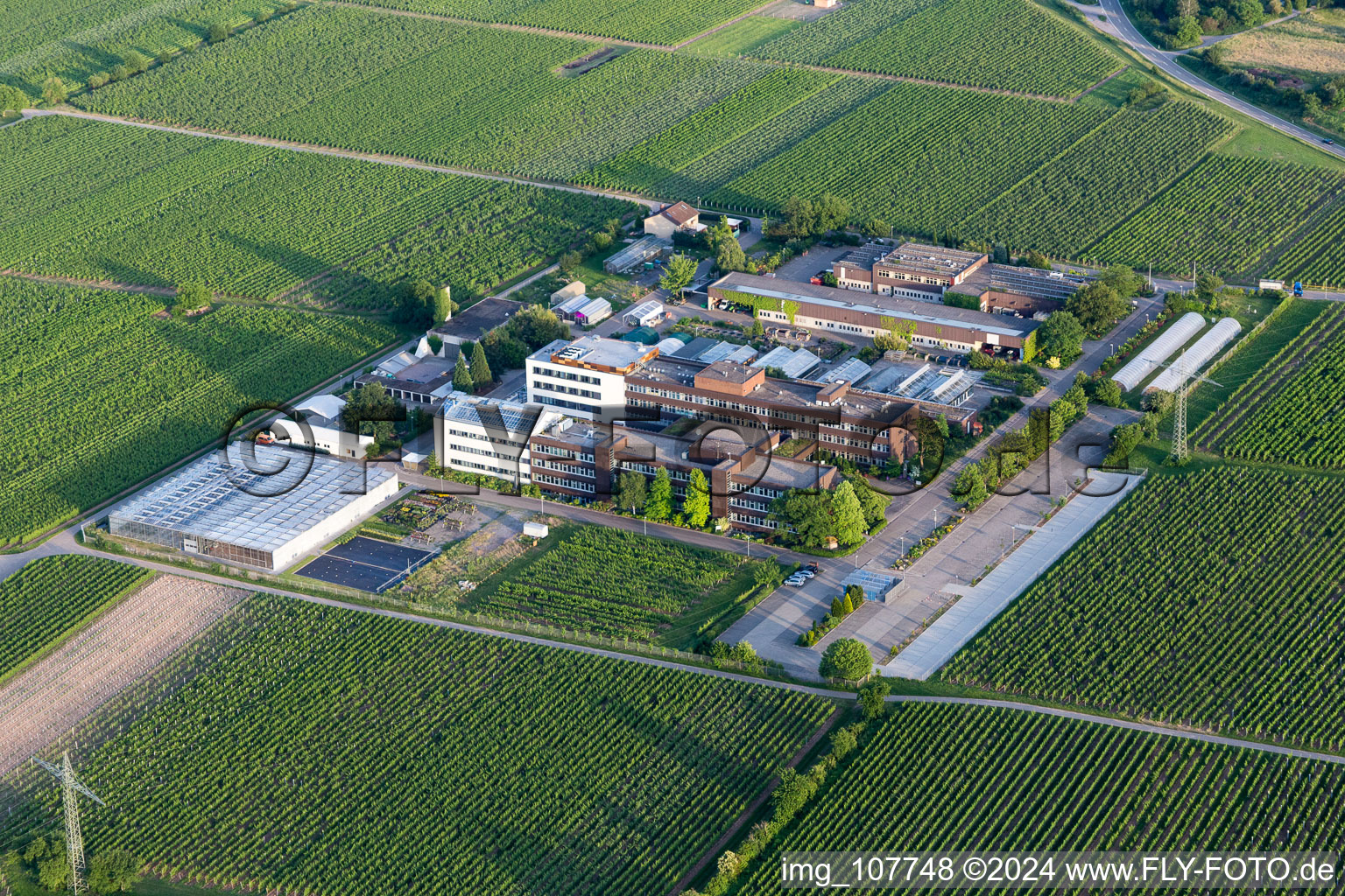 Vue aérienne de Du Centre de services pour l'espace rural Rhin-Palatinat à le quartier Mußbach in Neustadt an der Weinstraße dans le département Rhénanie-Palatinat, Allemagne