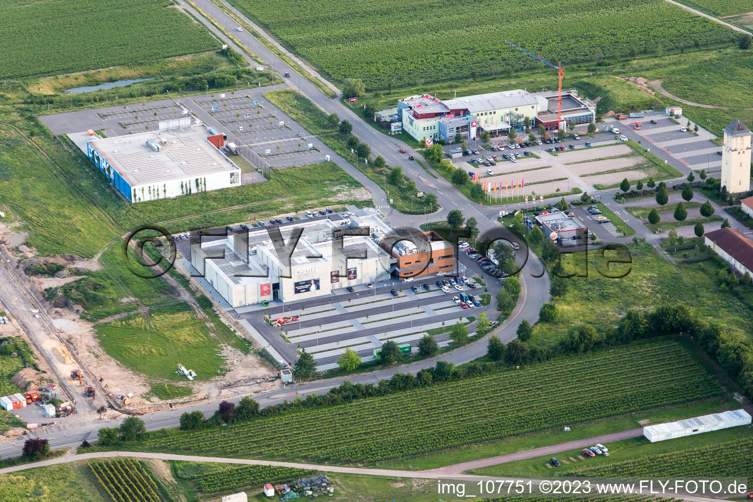 Vue aérienne de Cinéplex Décathlon à Neustadt an der Weinstraße dans le département Rhénanie-Palatinat, Allemagne