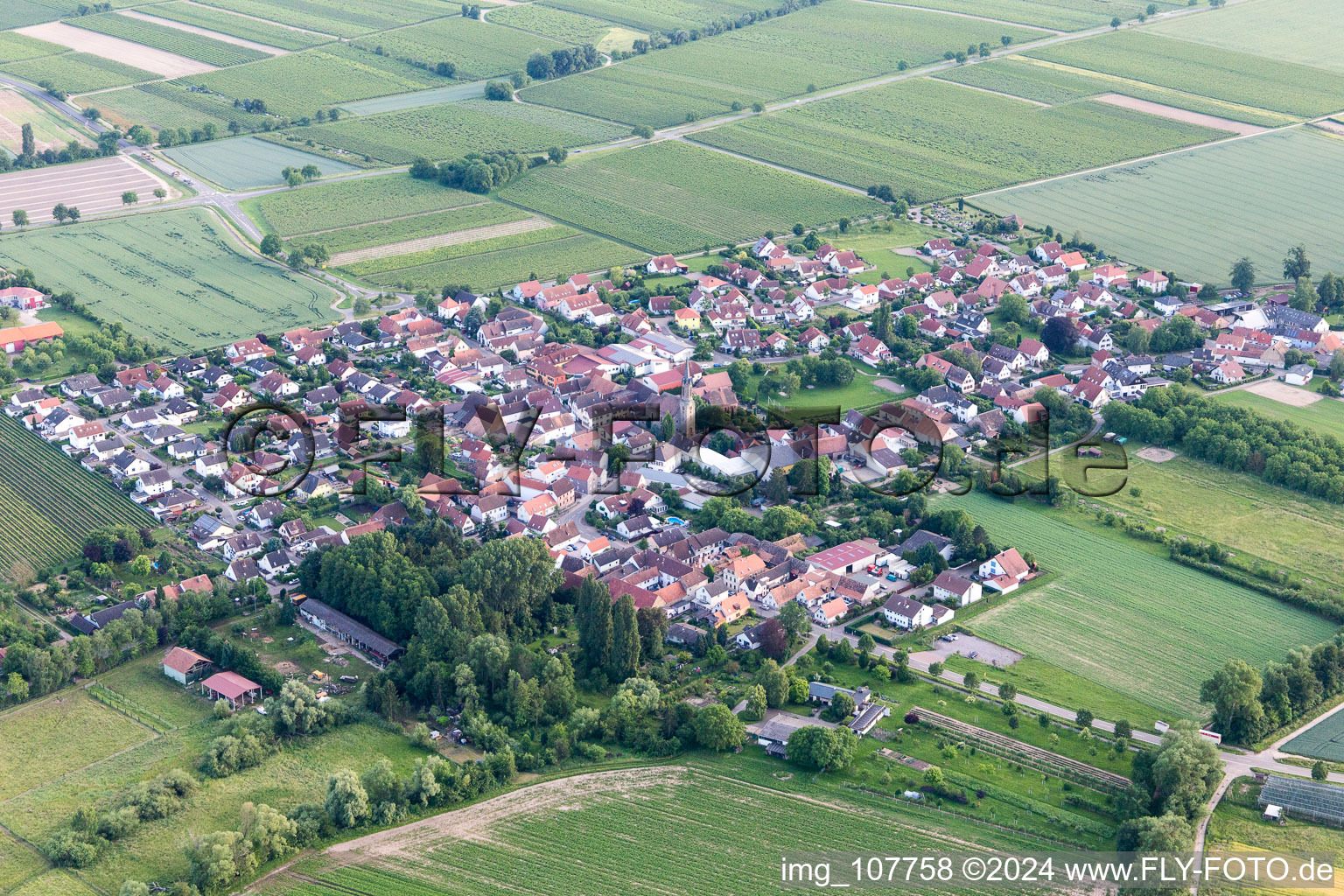 Großfischlingen dans le département Rhénanie-Palatinat, Allemagne vue du ciel