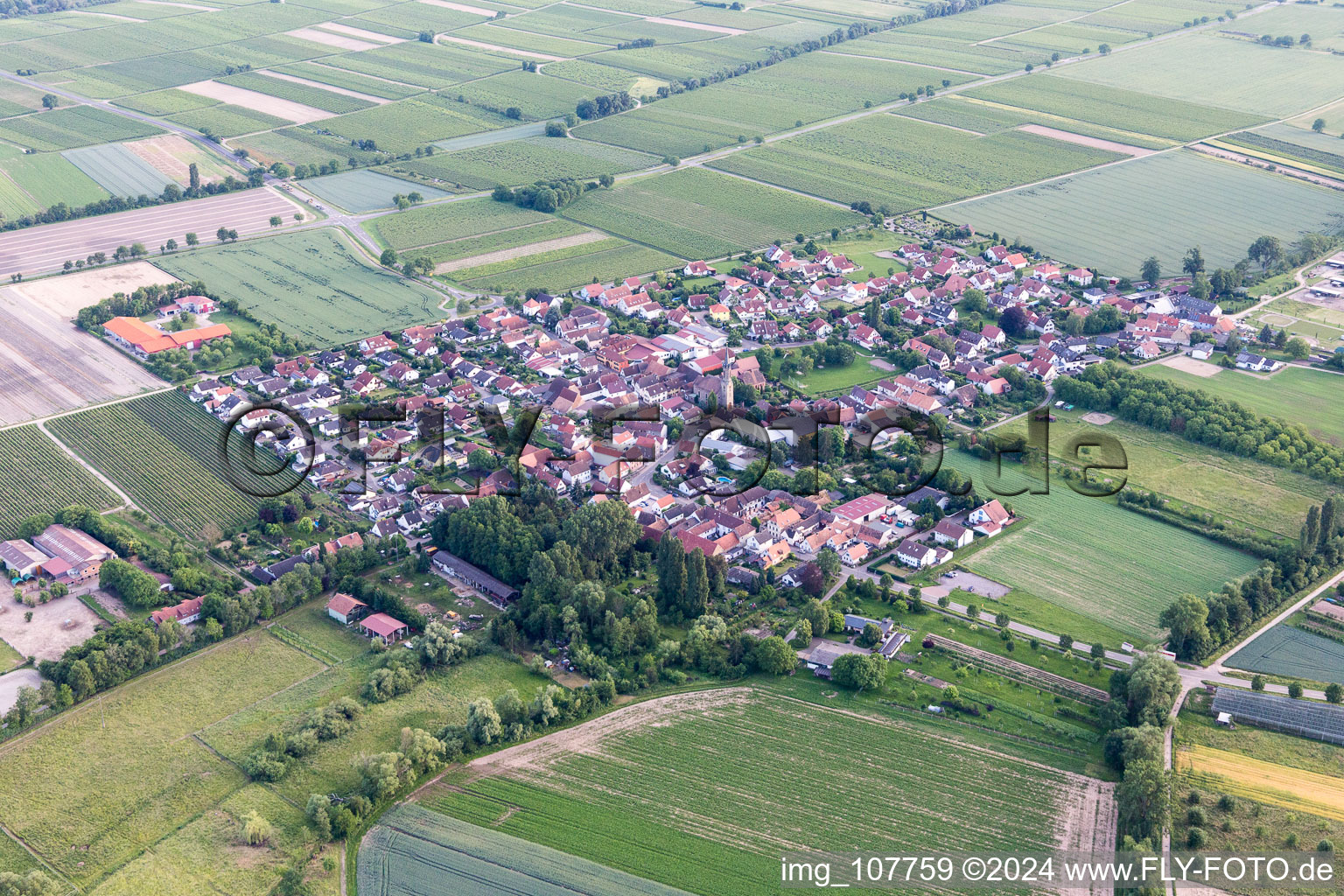 Enregistrement par drone de Großfischlingen dans le département Rhénanie-Palatinat, Allemagne