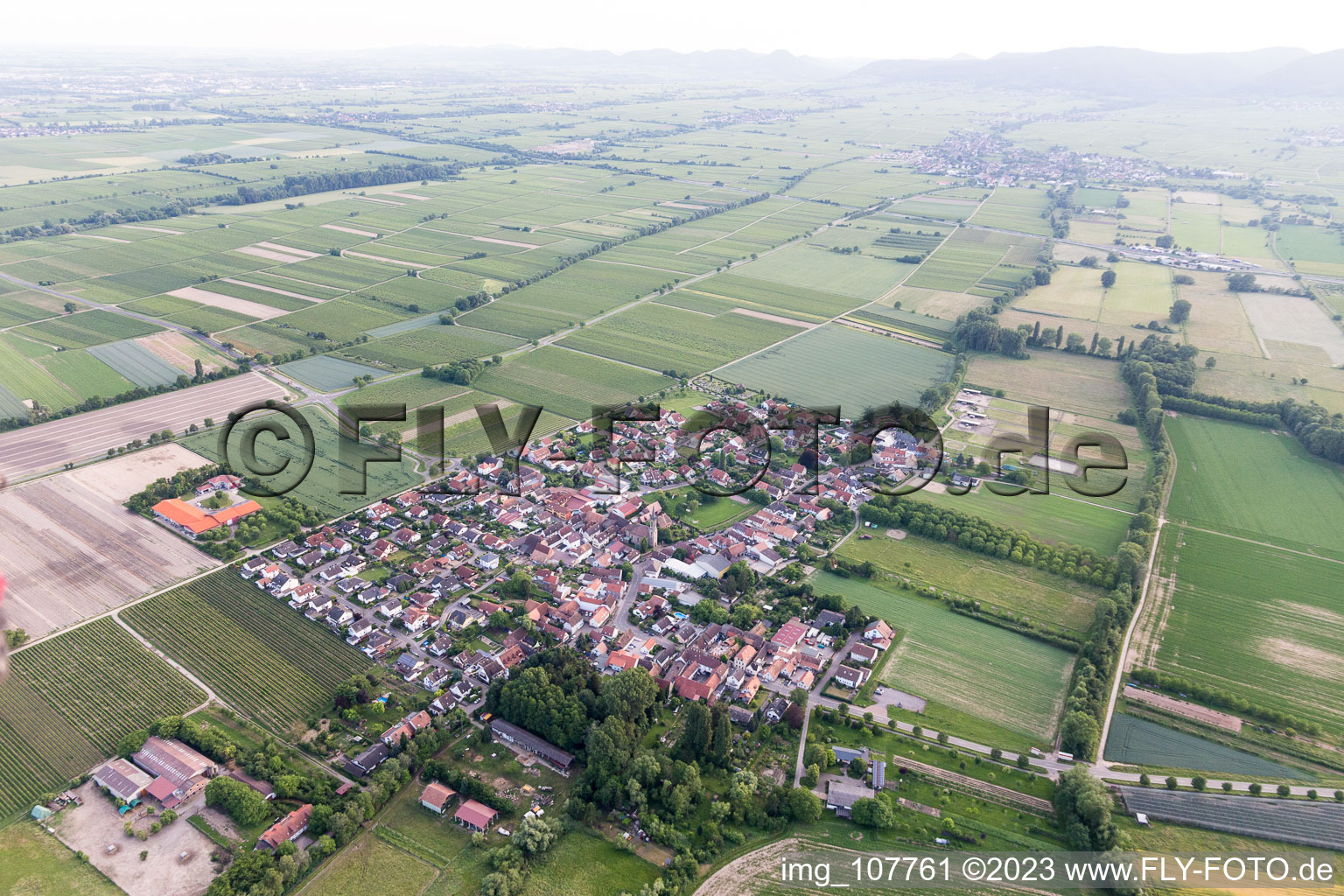 Großfischlingen dans le département Rhénanie-Palatinat, Allemagne du point de vue du drone