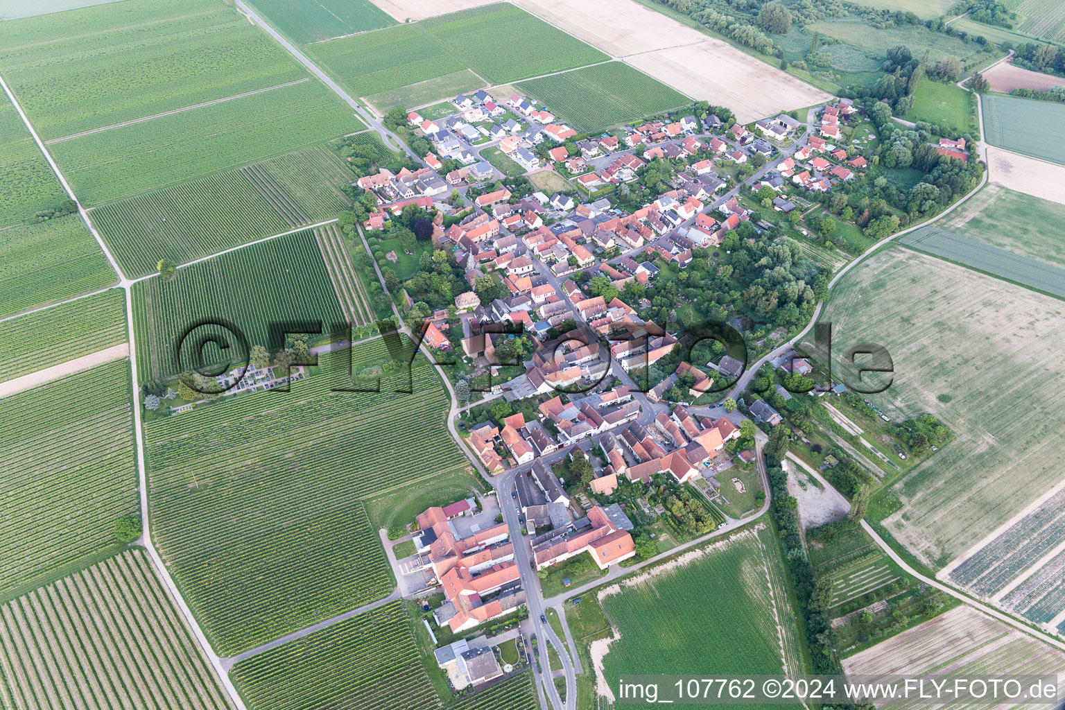 Vue d'oiseau de Kleinfischlingen dans le département Rhénanie-Palatinat, Allemagne