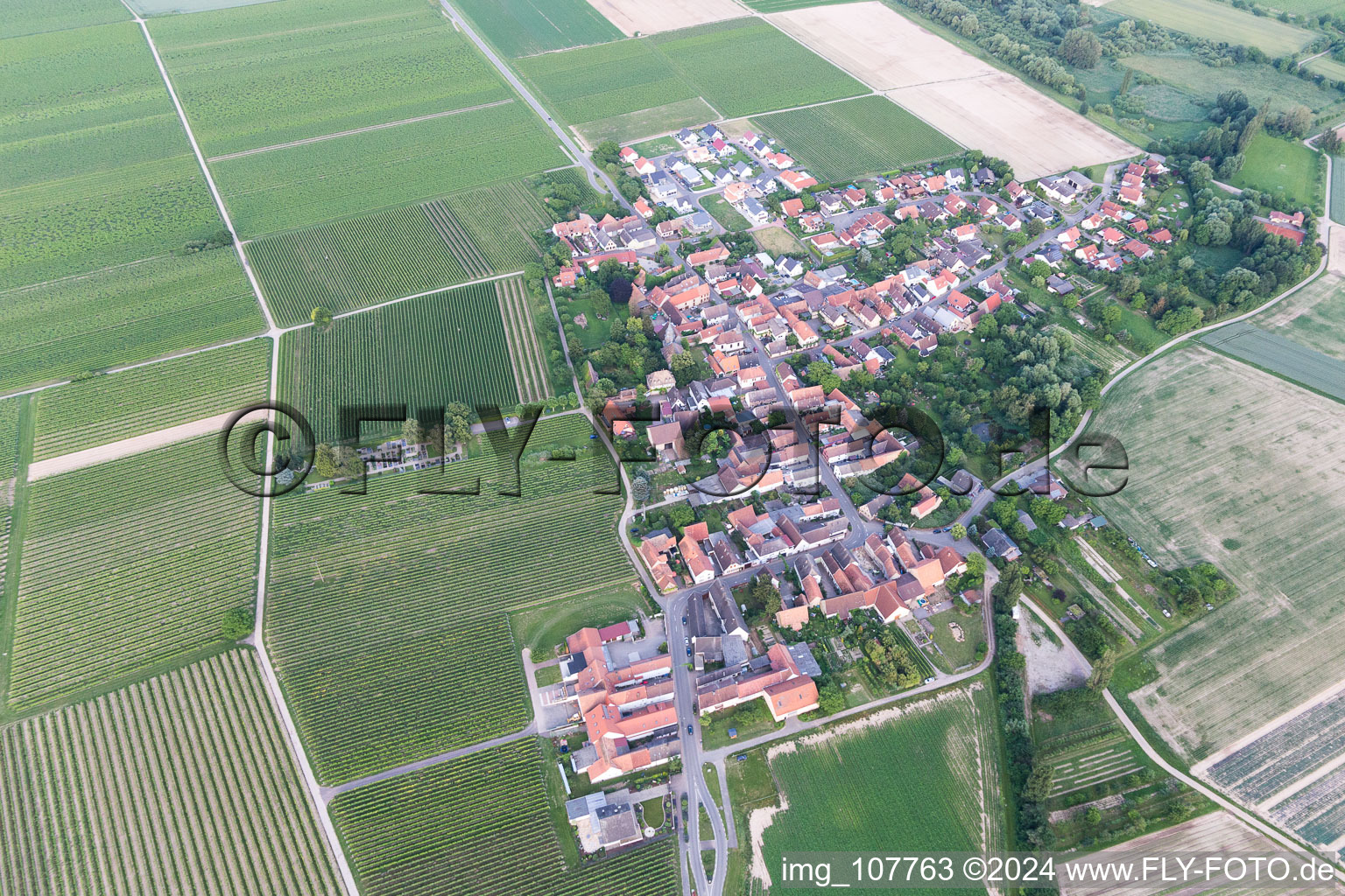 Kleinfischlingen dans le département Rhénanie-Palatinat, Allemagne vue du ciel