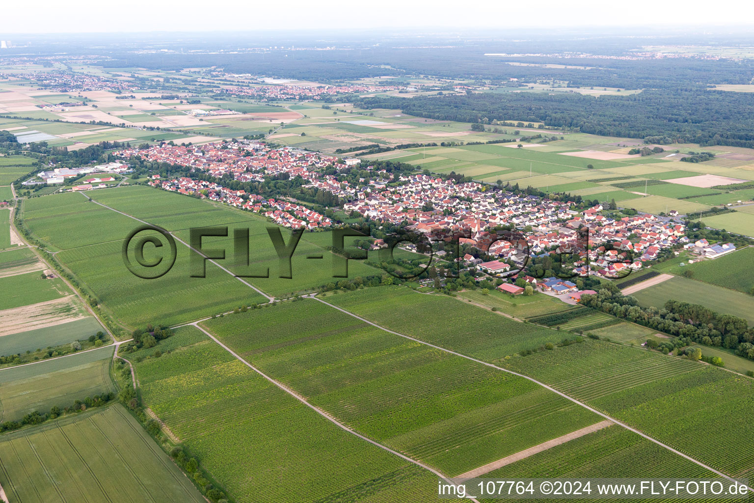 Photographie aérienne de Essingen dans le département Rhénanie-Palatinat, Allemagne