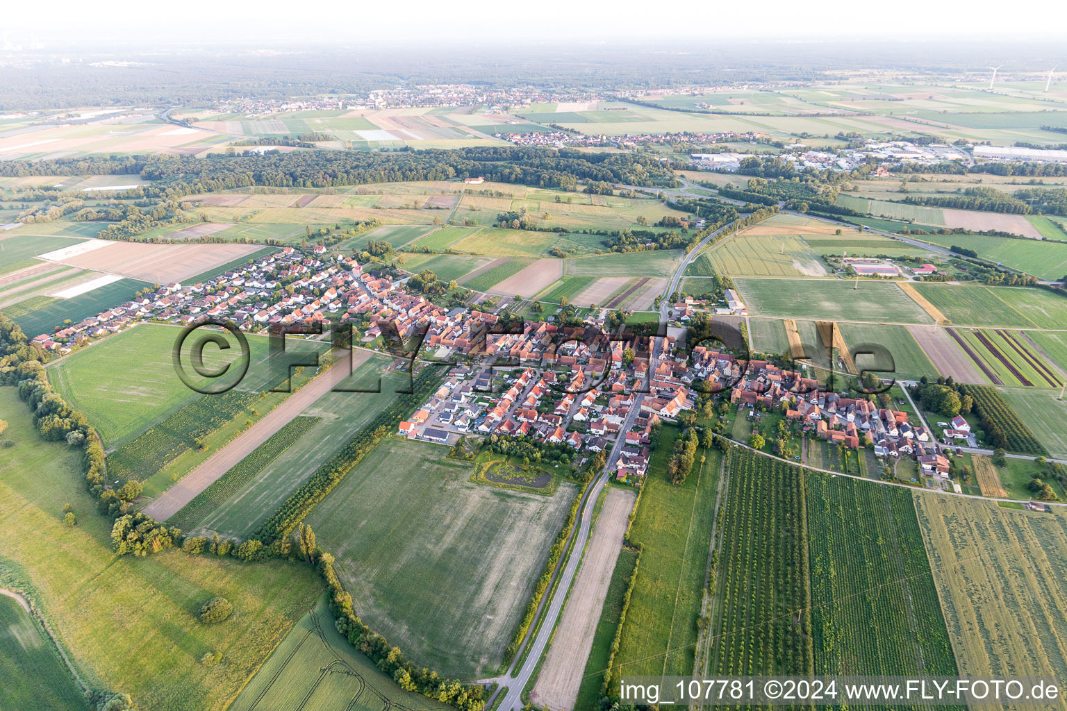 Vue aérienne de Du nord à Erlenbach bei Kandel dans le département Rhénanie-Palatinat, Allemagne