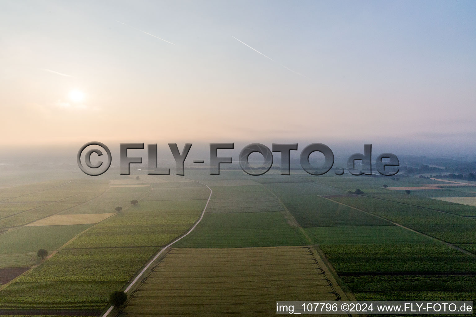 Hergersweiler dans le département Rhénanie-Palatinat, Allemagne depuis l'avion