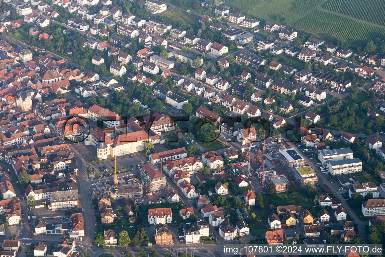 Bad Bergzabern dans le département Rhénanie-Palatinat, Allemagne du point de vue du drone