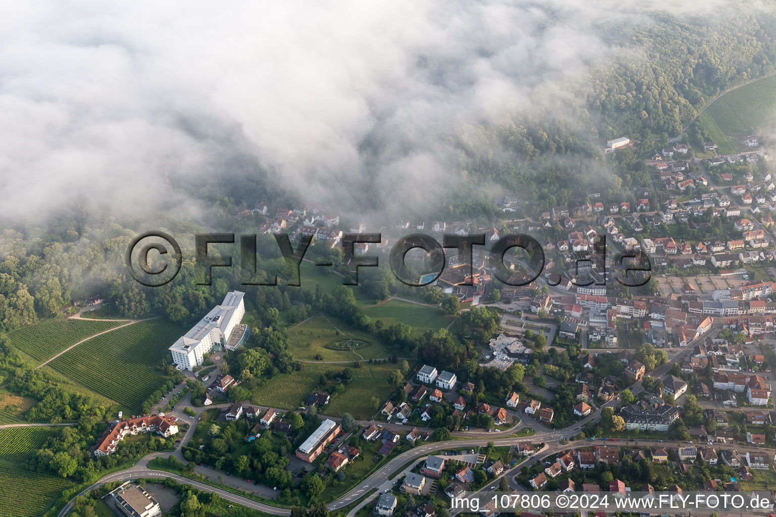 Vue oblique de Bad Bergzabern dans le département Rhénanie-Palatinat, Allemagne