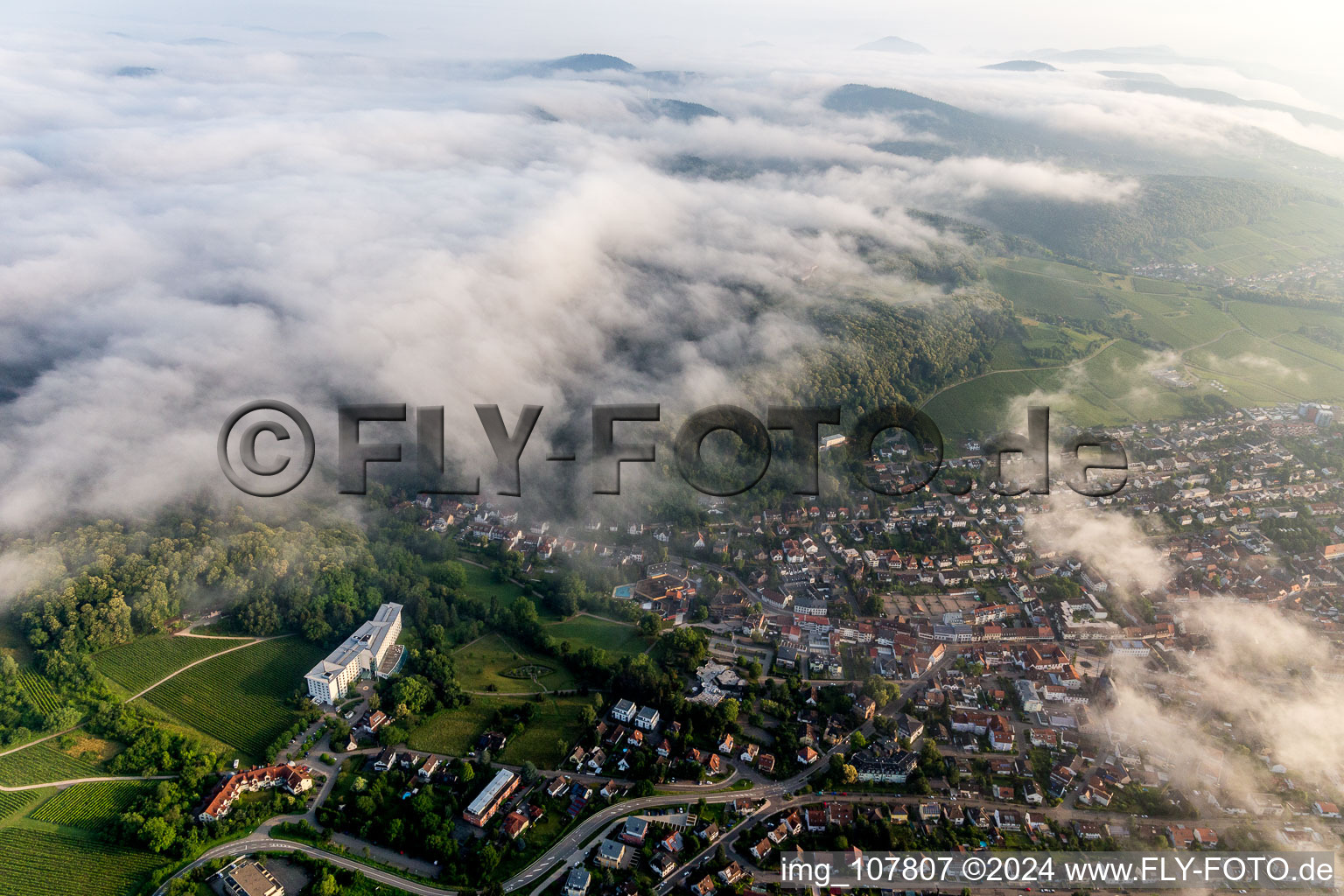 Bad Bergzabern dans le département Rhénanie-Palatinat, Allemagne d'en haut