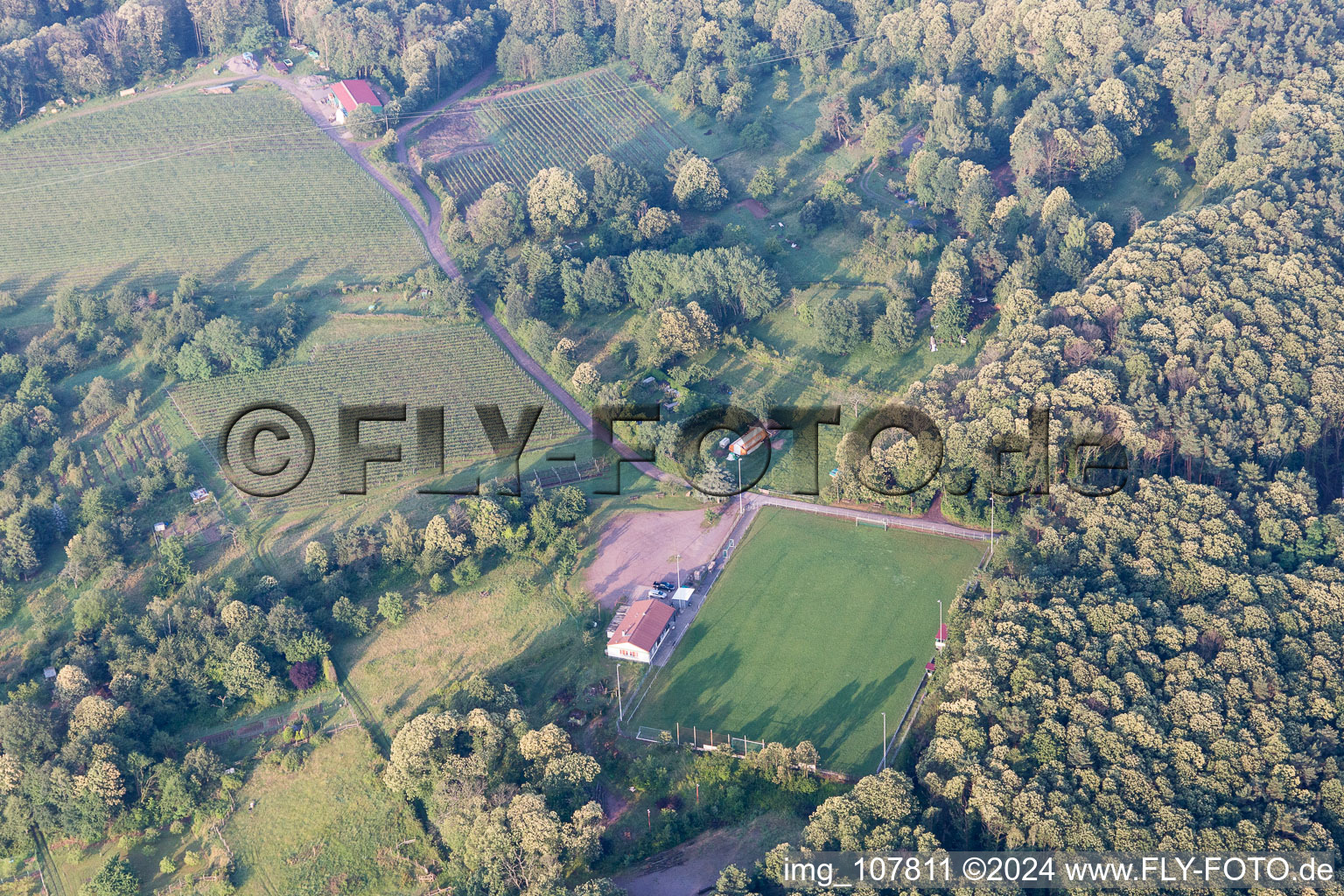 Image drone de Dörrenbach dans le département Rhénanie-Palatinat, Allemagne