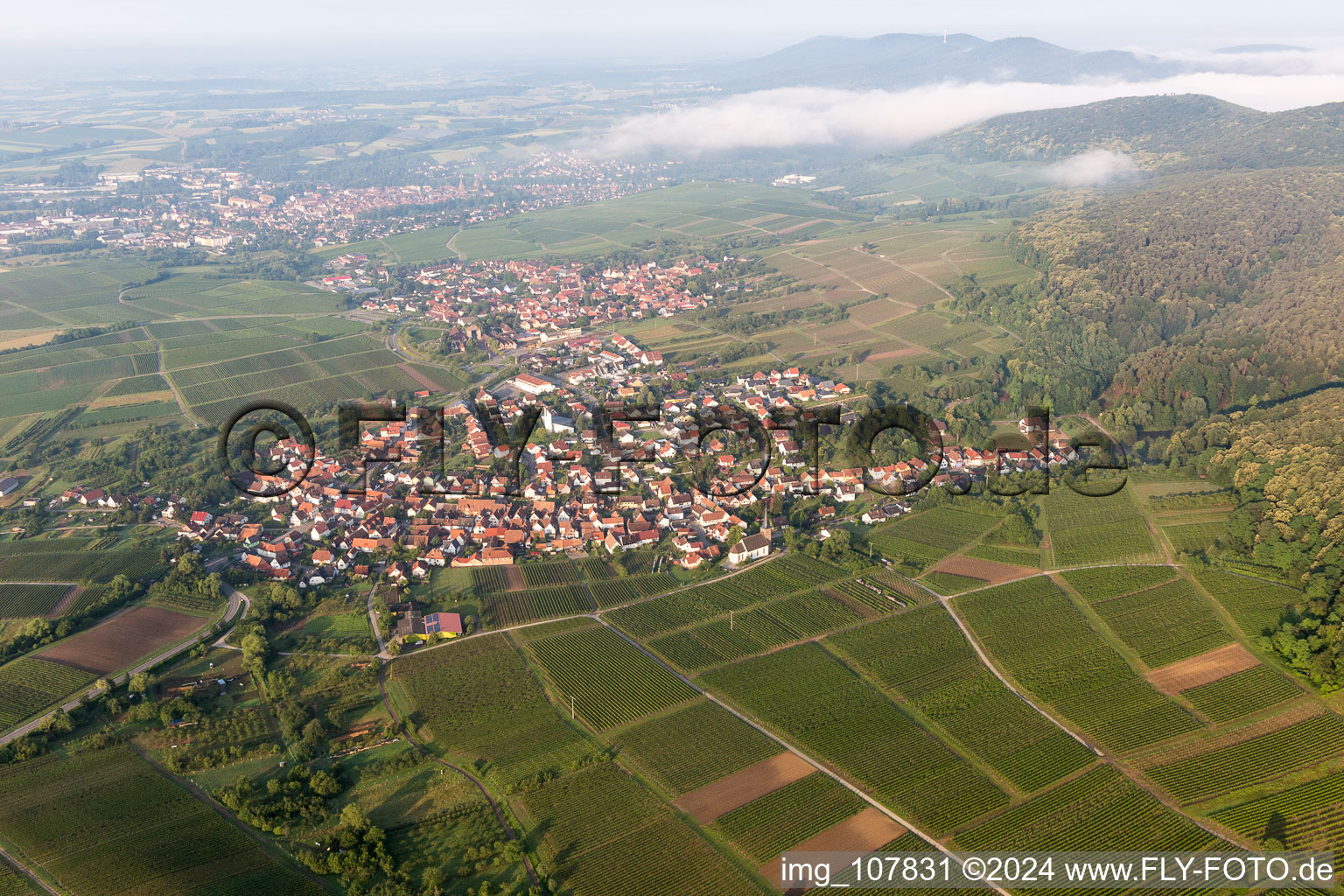 Quartier Rechtenbach in Schweigen-Rechtenbach dans le département Rhénanie-Palatinat, Allemagne vue du ciel