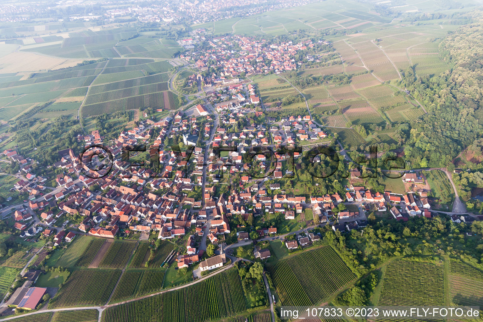 Image drone de Quartier Rechtenbach in Schweigen-Rechtenbach dans le département Rhénanie-Palatinat, Allemagne
