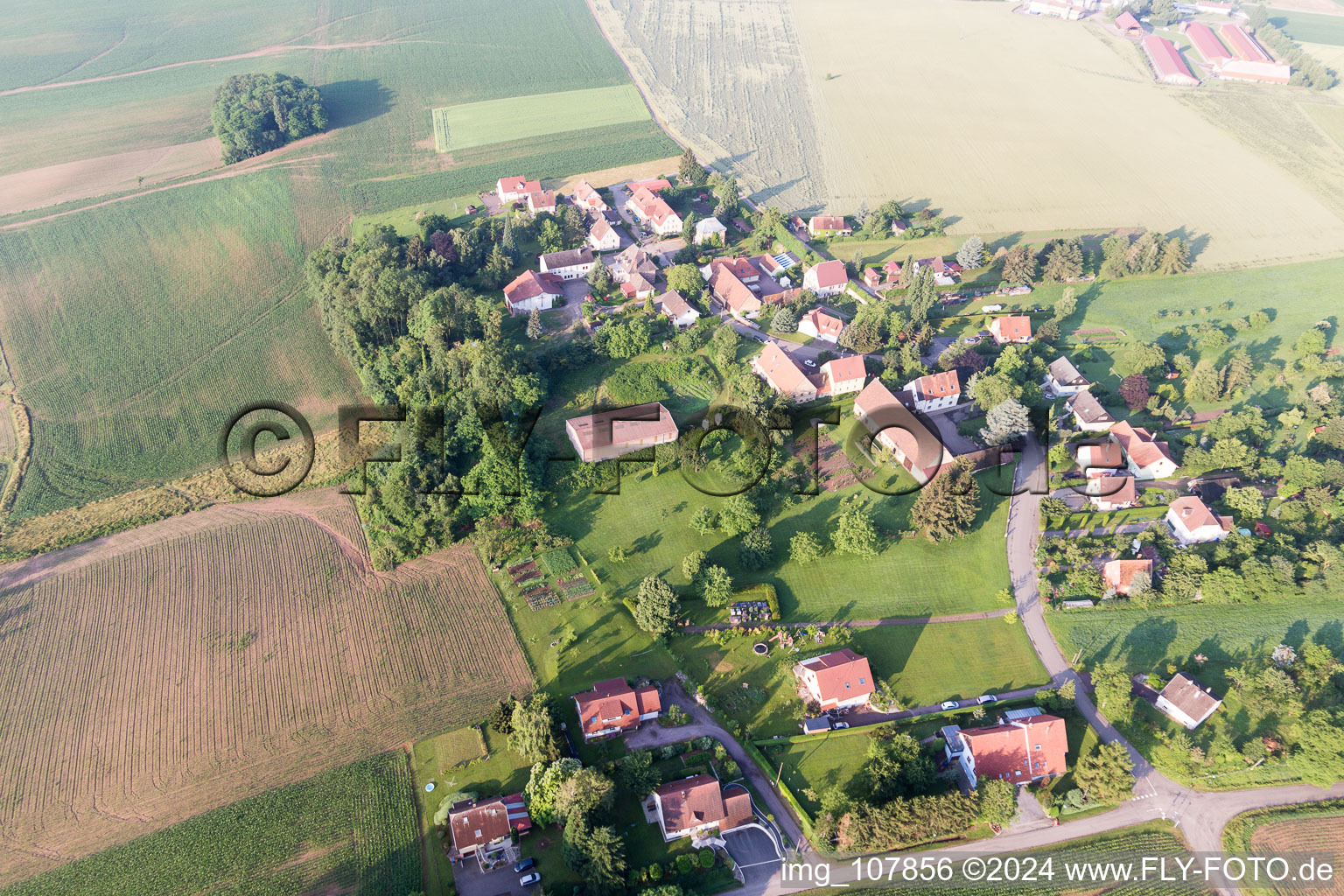 Vue aérienne de Geisberg à Wissembourg dans le département Bas Rhin, France