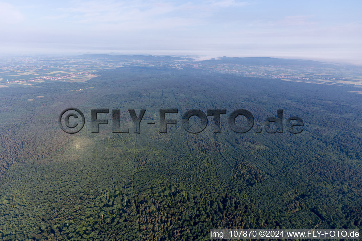 Quartier Schaidt in Wörth am Rhein dans le département Rhénanie-Palatinat, Allemagne depuis l'avion