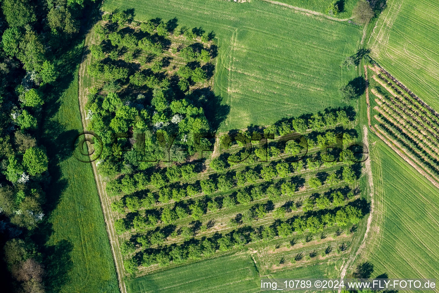 Enregistrement par drone de Wissembourg dans le département Bas Rhin, France