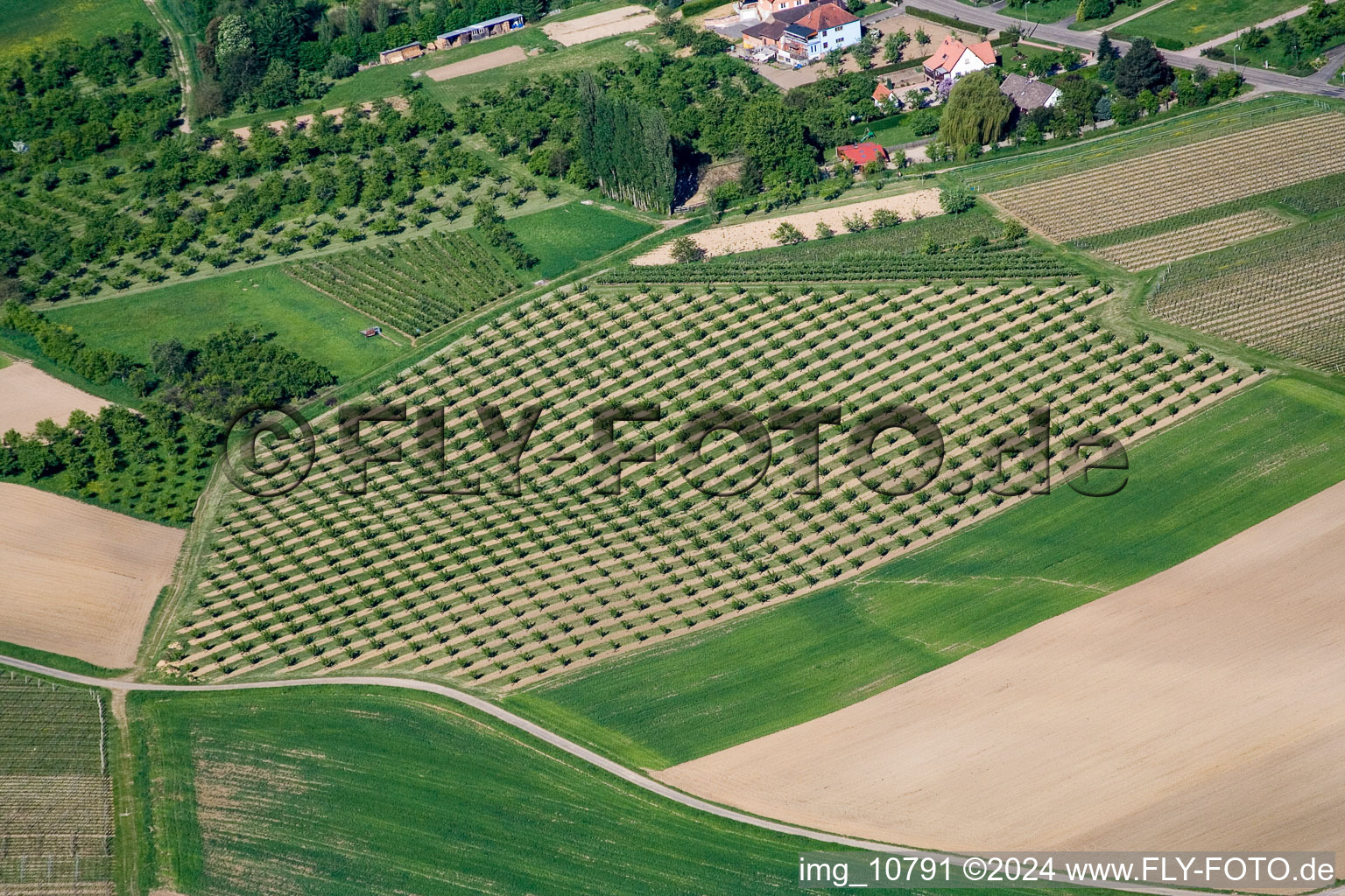 Image drone de Wissembourg dans le département Bas Rhin, France