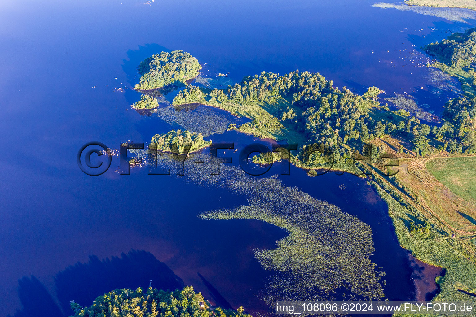 Vue aérienne de Nénuphars dans le lac Åsnen aux couleurs de lande à Småland à Skäggalösa dans le département Kronoberg, Suède