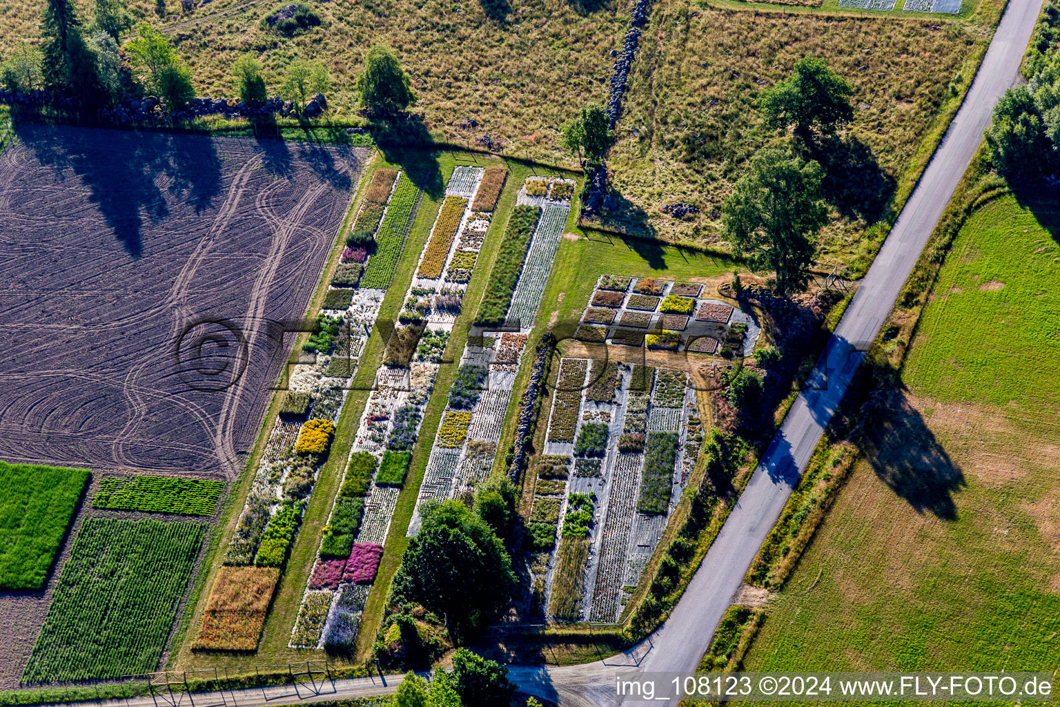 Vue aérienne de Rangées colorées de lits dans un champ pour la culture de la floriculture Pratensis AB à Lönashult dans le département Kronobergs län, Suède