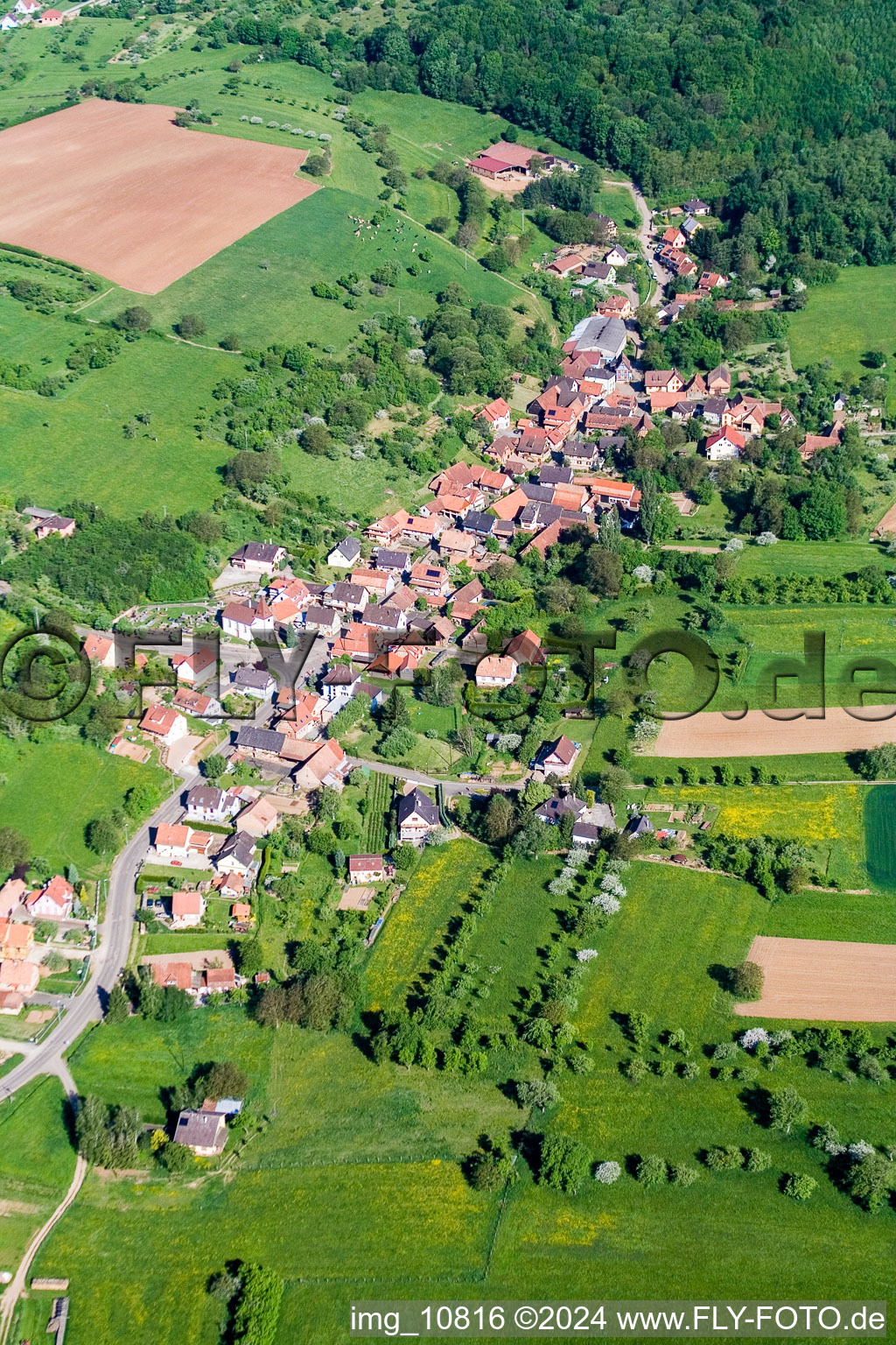 Vue aérienne de Vue sur le village à Gœrsdorf dans le département Bas Rhin, France