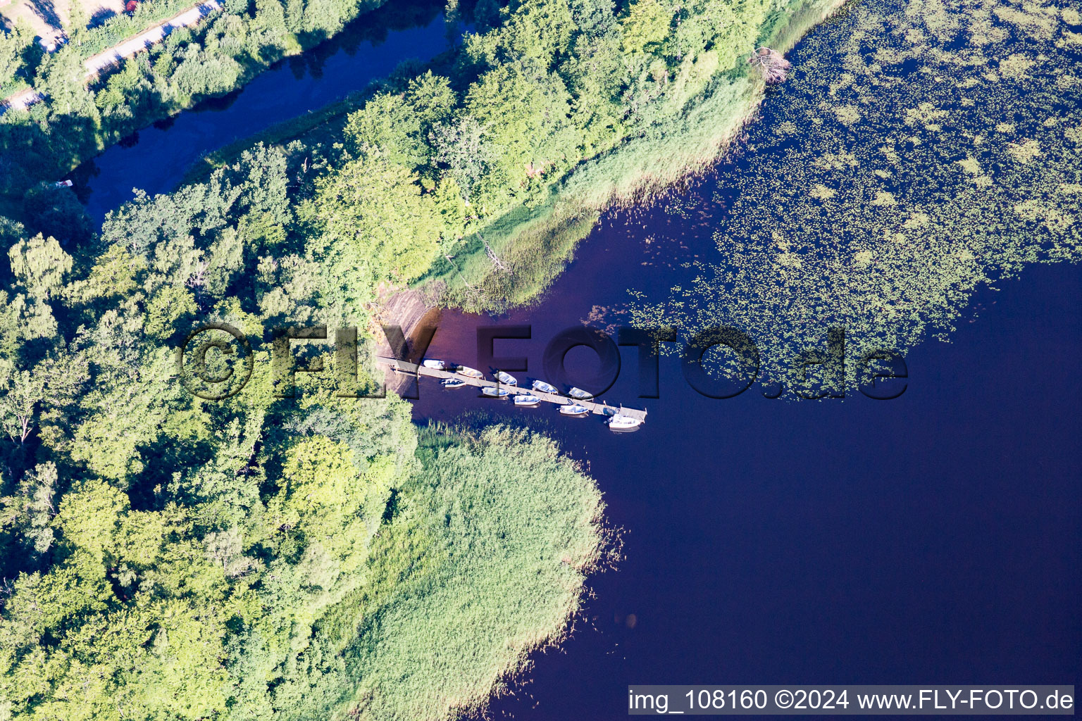 Vue aérienne de Zones riveraines avec nénuphars, amarrage de bateaux et zone de baignade du lac Åsnen (Småland) aux couleurs de lande dans le comté de Tornein Kronoberg à Lönashult dans le département Kronobergs län, Suède