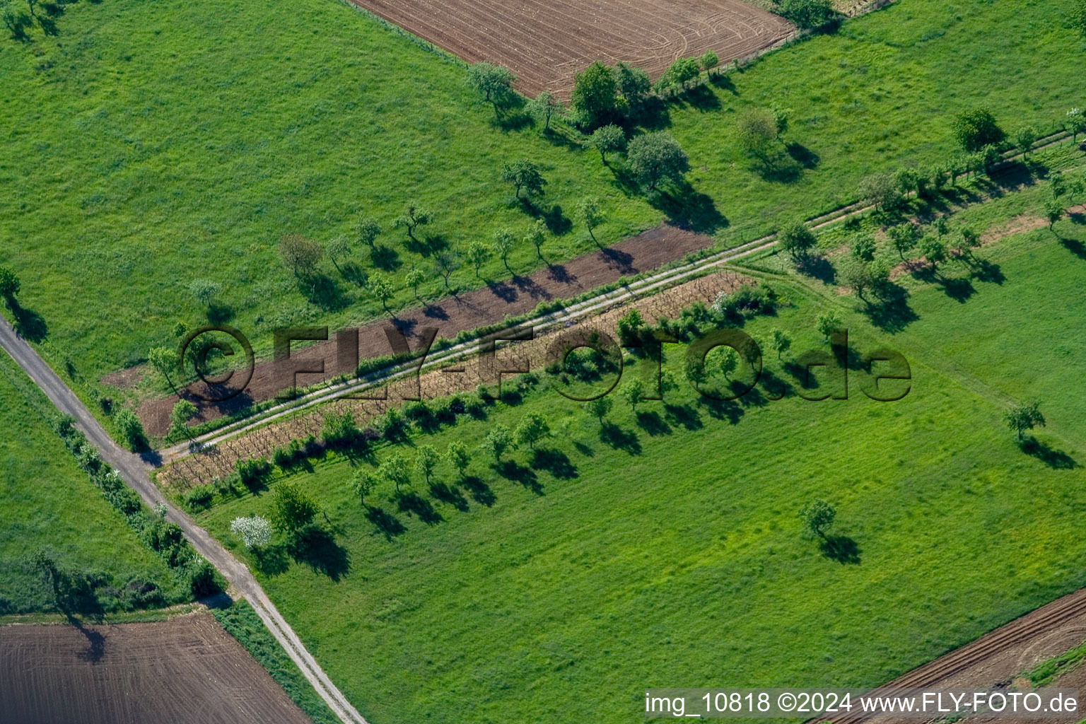 Mitschdorf dans le département Bas Rhin, France vue du ciel