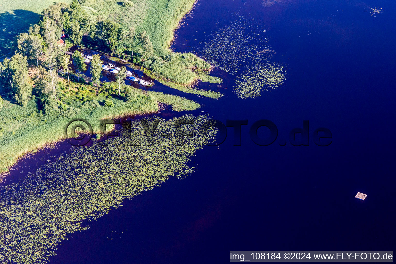 Vue aérienne de Zones riveraines avec nénuphars, amarrage de bateaux et zone de baignade du lac Åsnen (Småland) aux couleurs de lande à Hunna dans le département Kronoberg, Suède