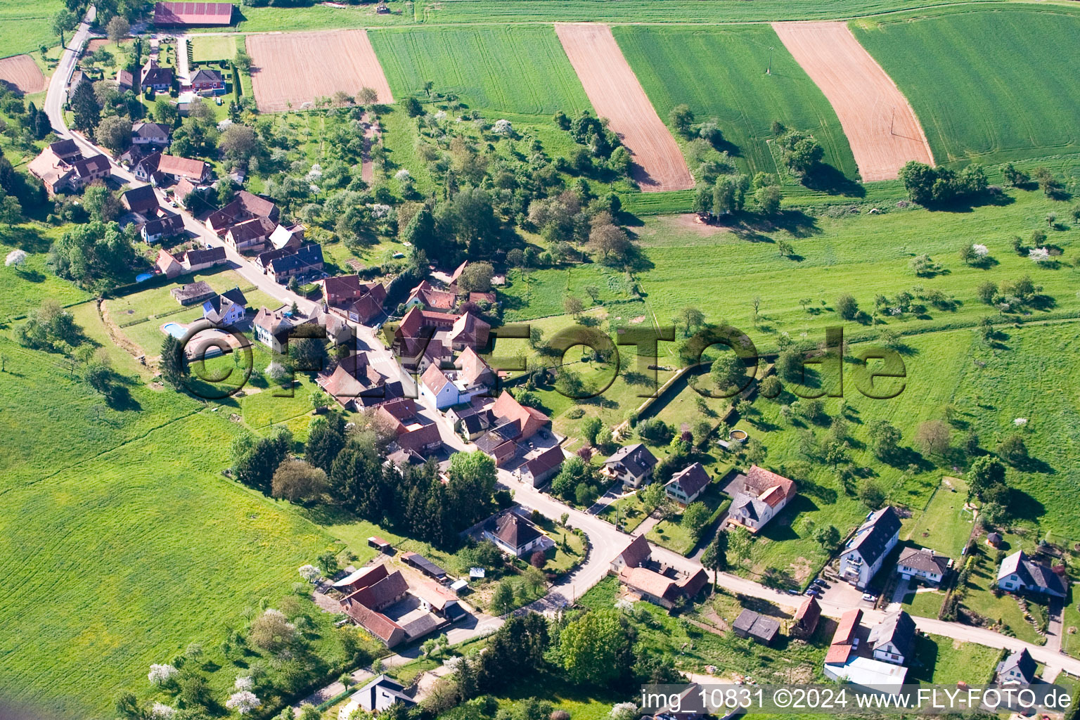 Vue aérienne de Schirlenhof à Gundershoffen dans le département Bas Rhin, France