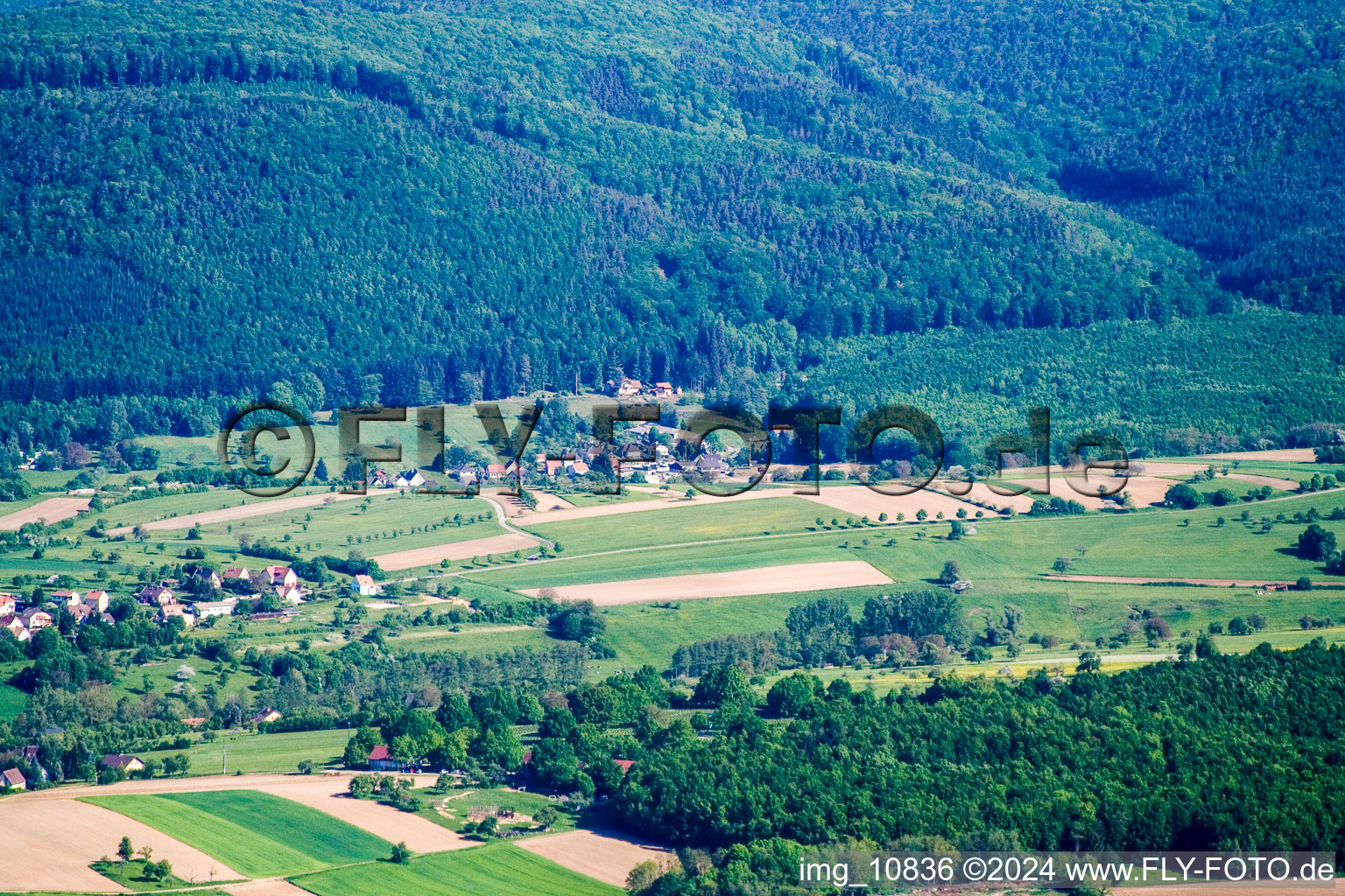 Vue aérienne de Niederbronn, Villa Riessack à Niederbronn-les-Bains dans le département Bas Rhin, France