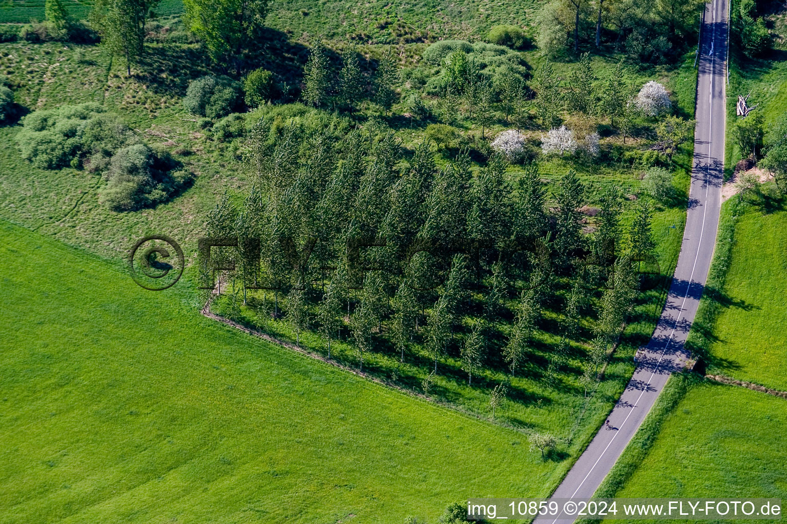 Rothbach dans le département Bas Rhin, France vue d'en haut