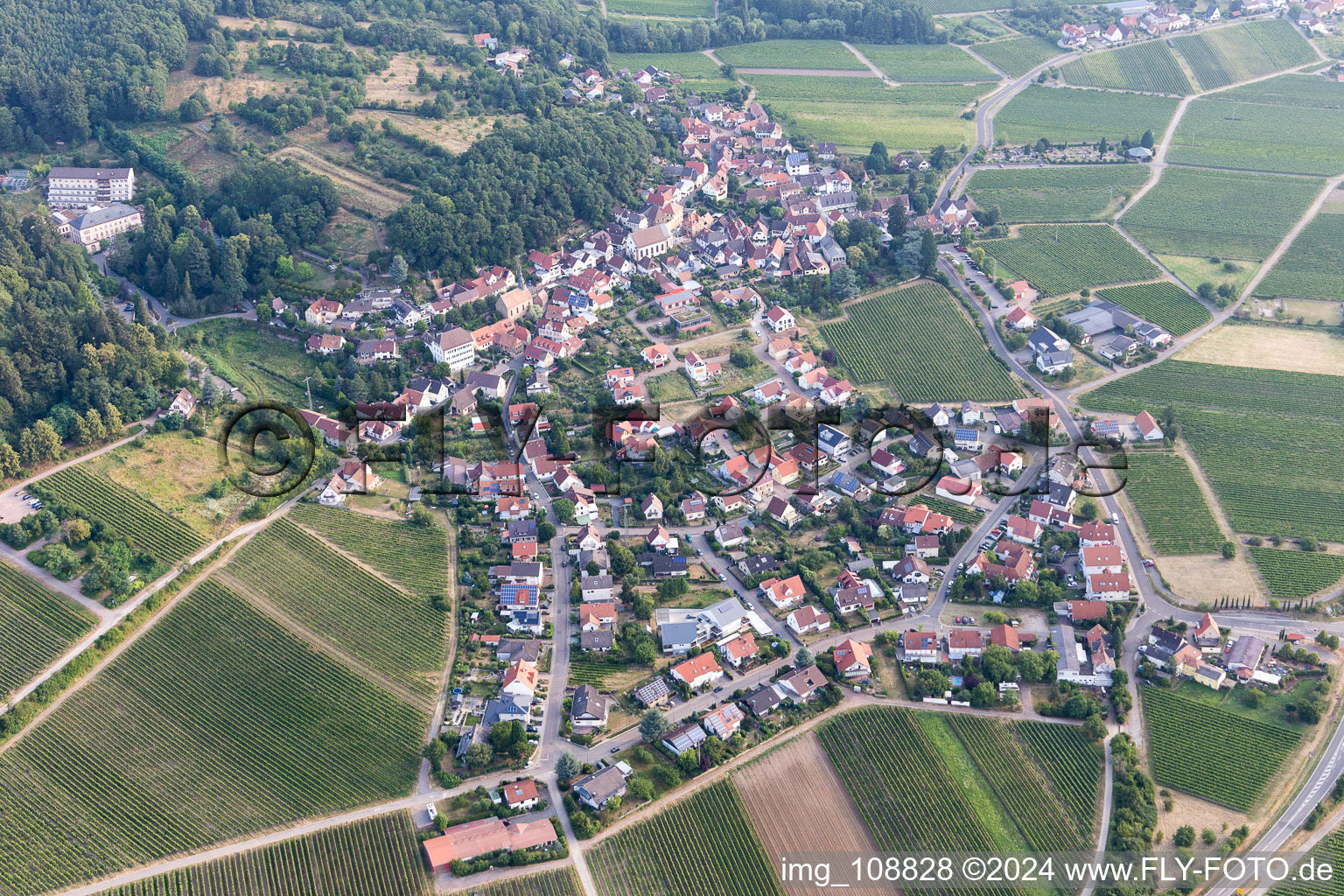 Vue d'oiseau de Gleisweiler dans le département Rhénanie-Palatinat, Allemagne