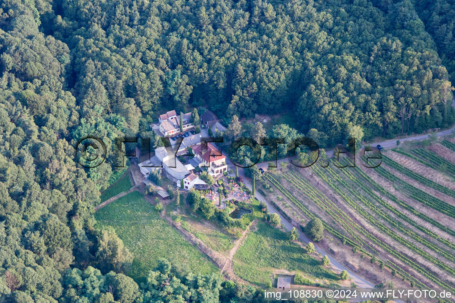 Gleisweiler dans le département Rhénanie-Palatinat, Allemagne vue du ciel