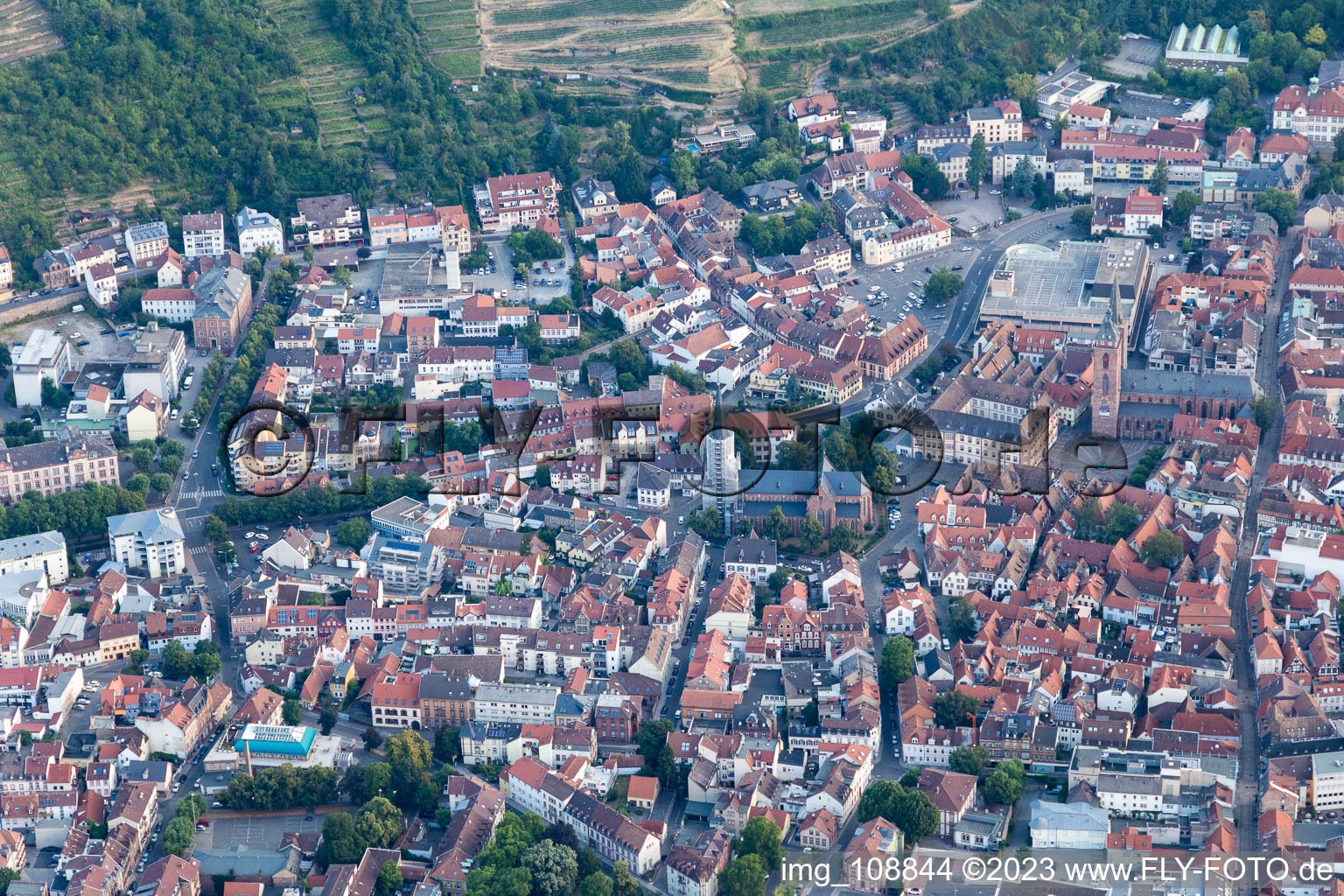 Vue aérienne de Marché à Neustadt an der Weinstraße dans le département Rhénanie-Palatinat, Allemagne