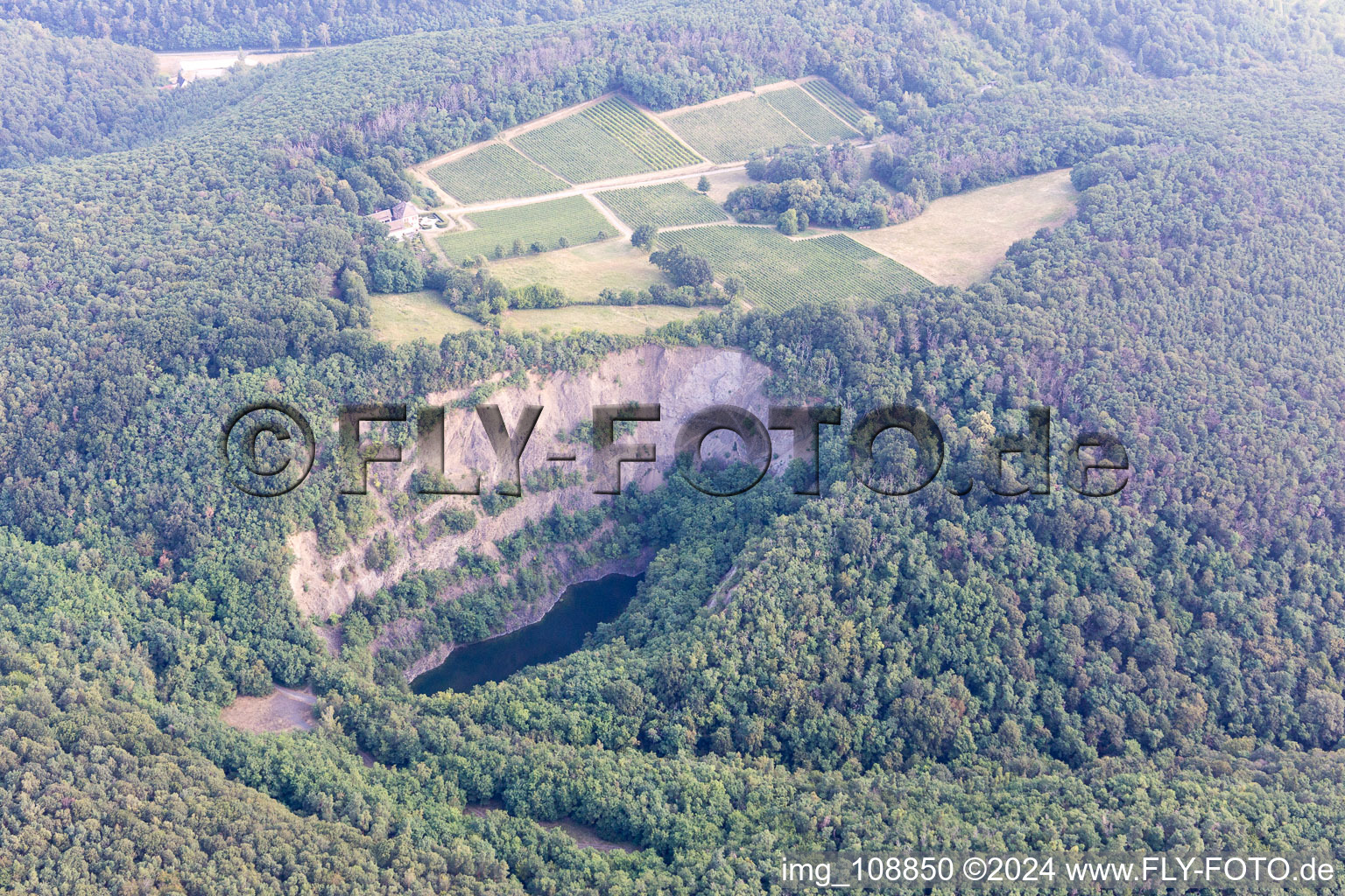 Vue aérienne de Lac basaltique, ancienne carrière à Wachenheim an der Weinstraße dans le département Rhénanie-Palatinat, Allemagne