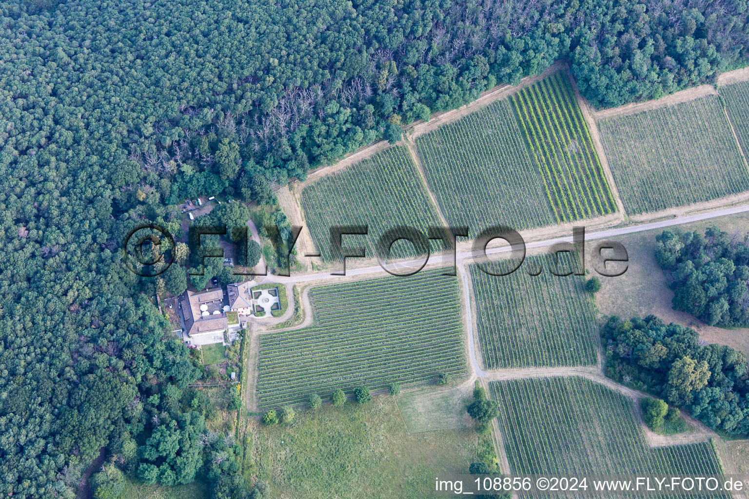 Vue oblique de Domaine viticole Odinstal à Wachenheim an der Weinstraße dans le département Rhénanie-Palatinat, Allemagne