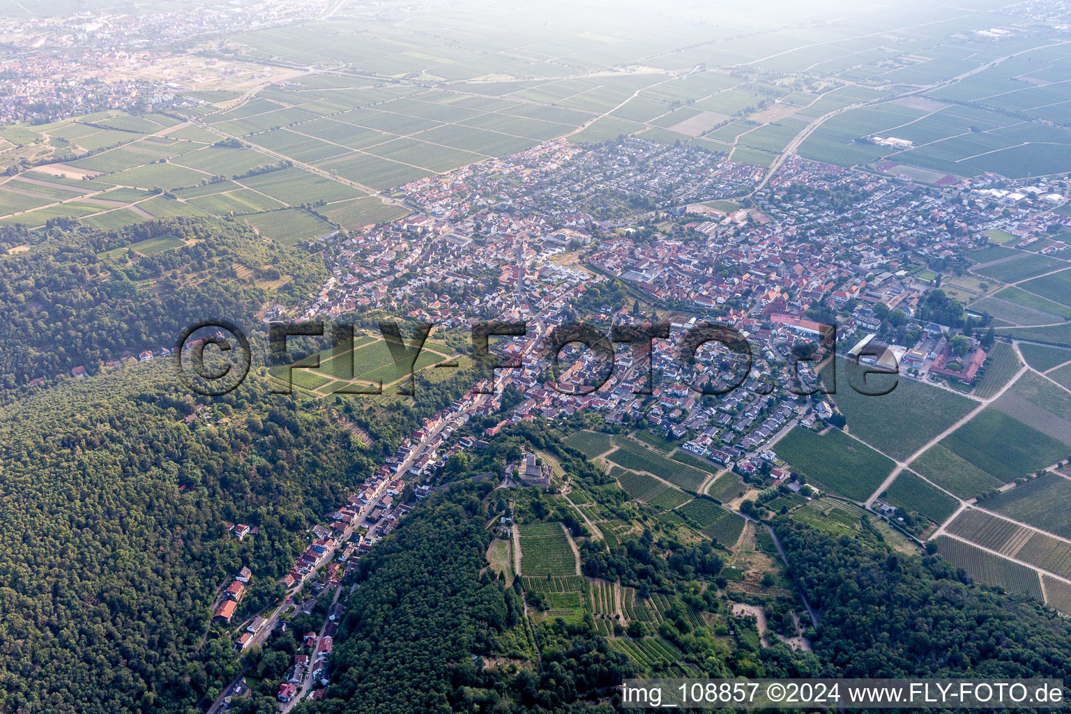 Image drone de Wachenheim an der Weinstraße dans le département Rhénanie-Palatinat, Allemagne