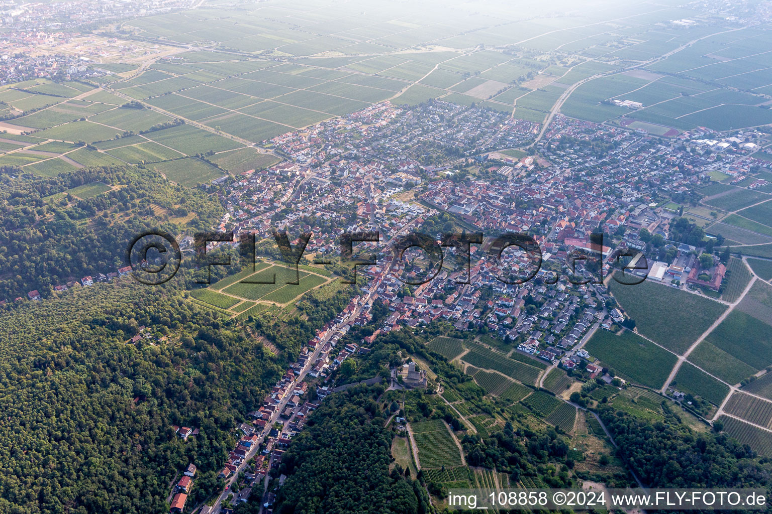 Wachenheim an der Weinstraße dans le département Rhénanie-Palatinat, Allemagne du point de vue du drone