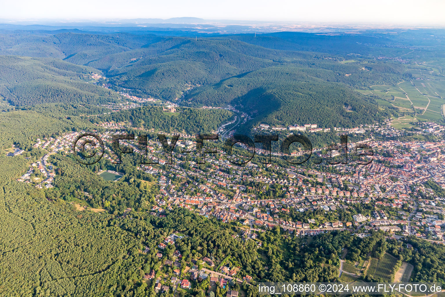 Vue aérienne de Quartier Wachenheim in Wachenheim an der Weinstraße dans le département Rhénanie-Palatinat, Allemagne