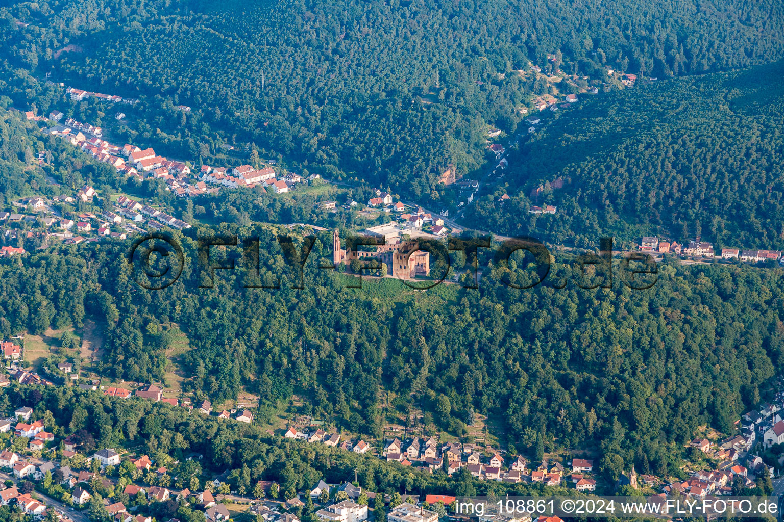 Vue aérienne de Monastère de Limbourg à le quartier Grethen in Bad Dürkheim dans le département Rhénanie-Palatinat, Allemagne