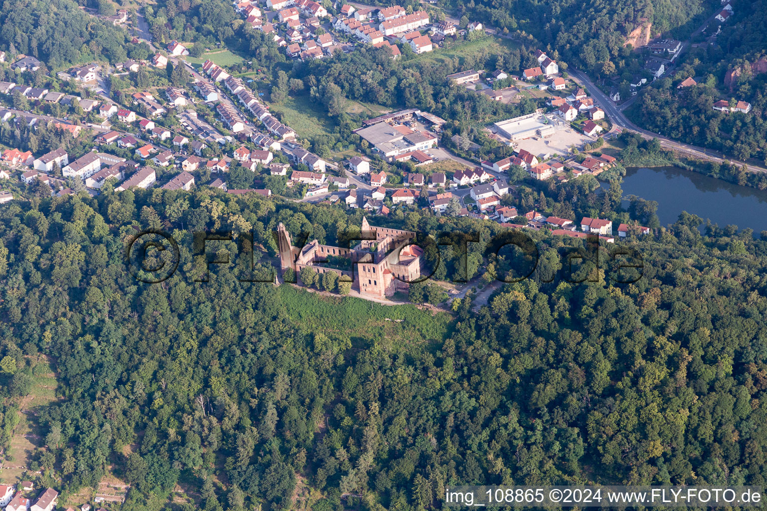 Photographie aérienne de Monastère de Limbourg à le quartier Grethen in Bad Dürkheim dans le département Rhénanie-Palatinat, Allemagne