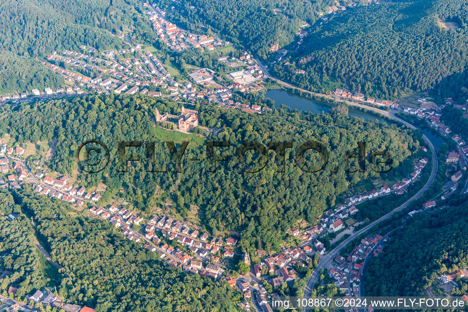 Monastère de Limbourg à le quartier Grethen in Bad Dürkheim dans le département Rhénanie-Palatinat, Allemagne d'en haut